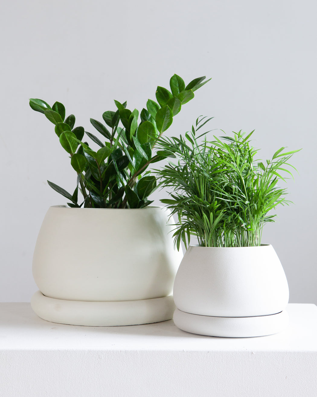 VIRIDI GELATO PLANTER small 5.5 Inch - Cloud