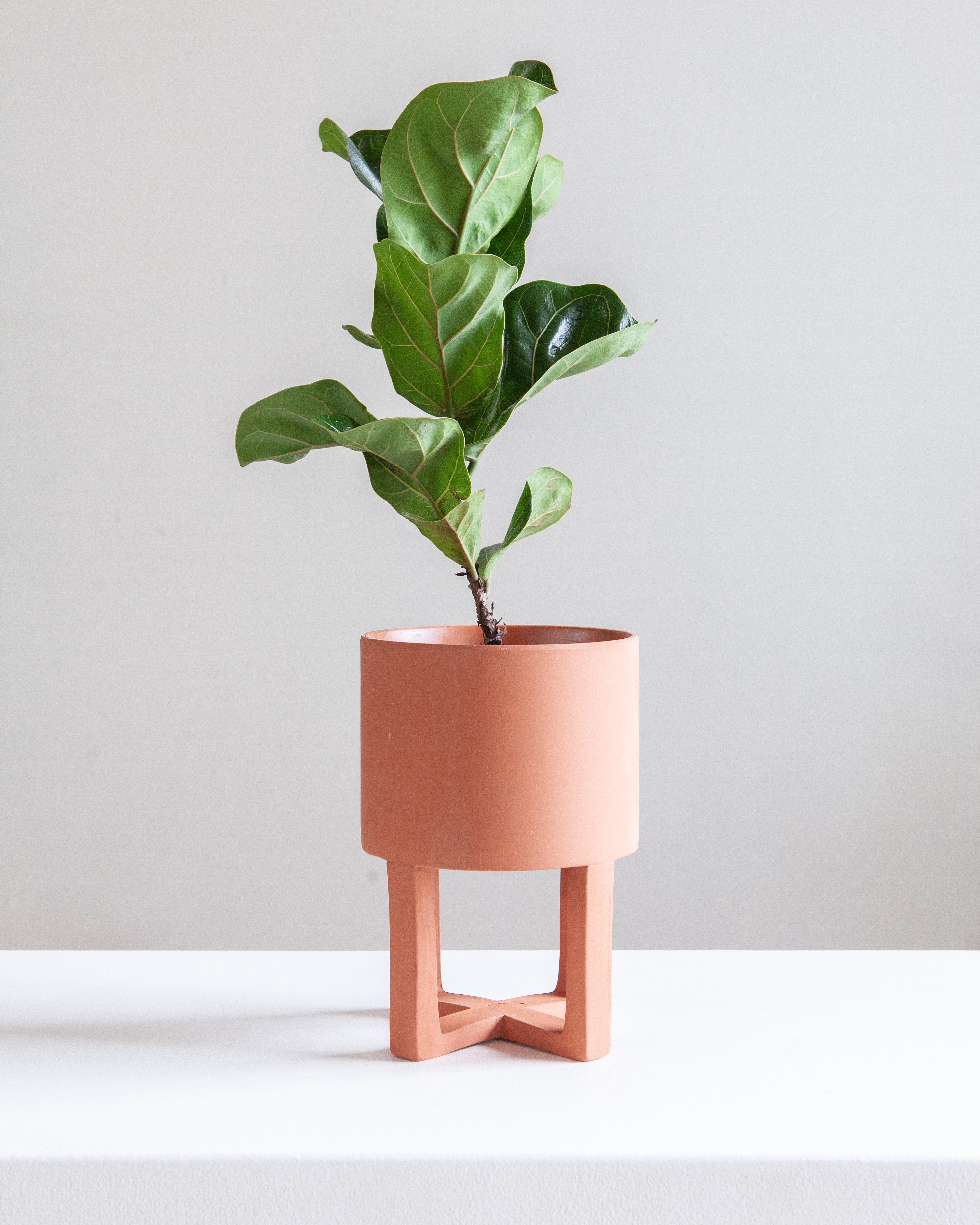 CROSS-LEGGED POT (TERRACOTTA) Small 6.5 Inch