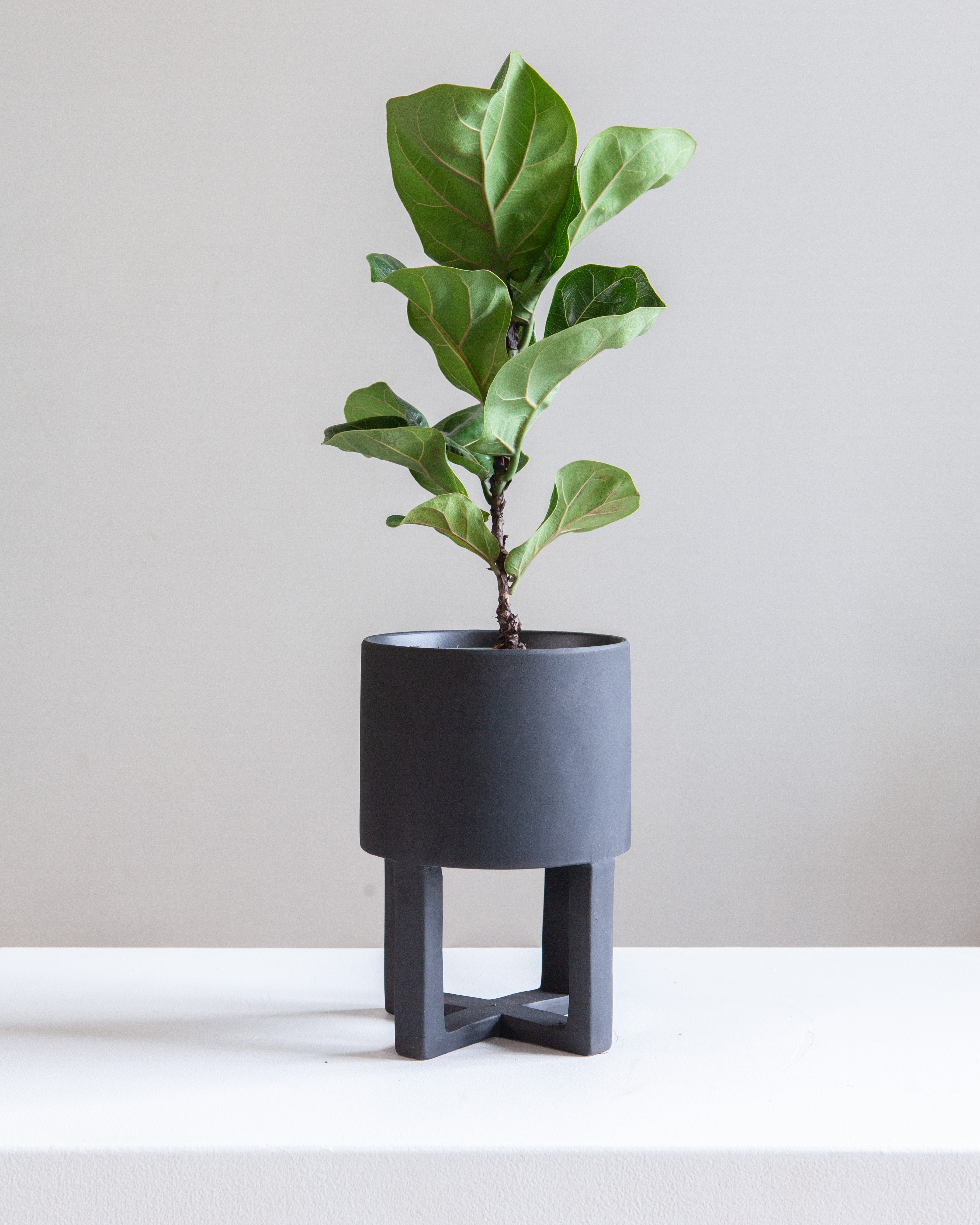 Santurce Footed Planter | 6 inch Nursery Pot