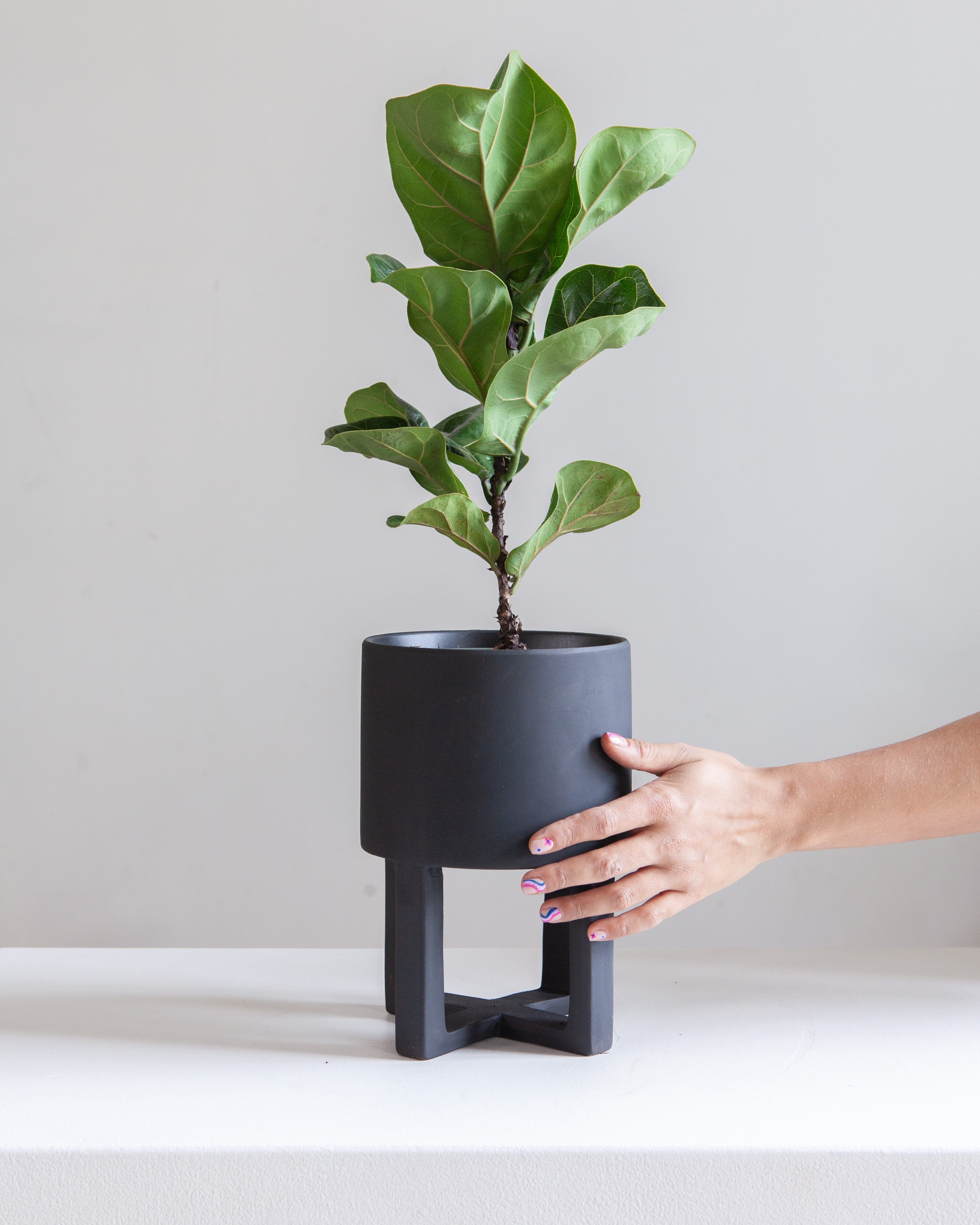 Santurce Footed Planter | 6 inch Nursery Pot
