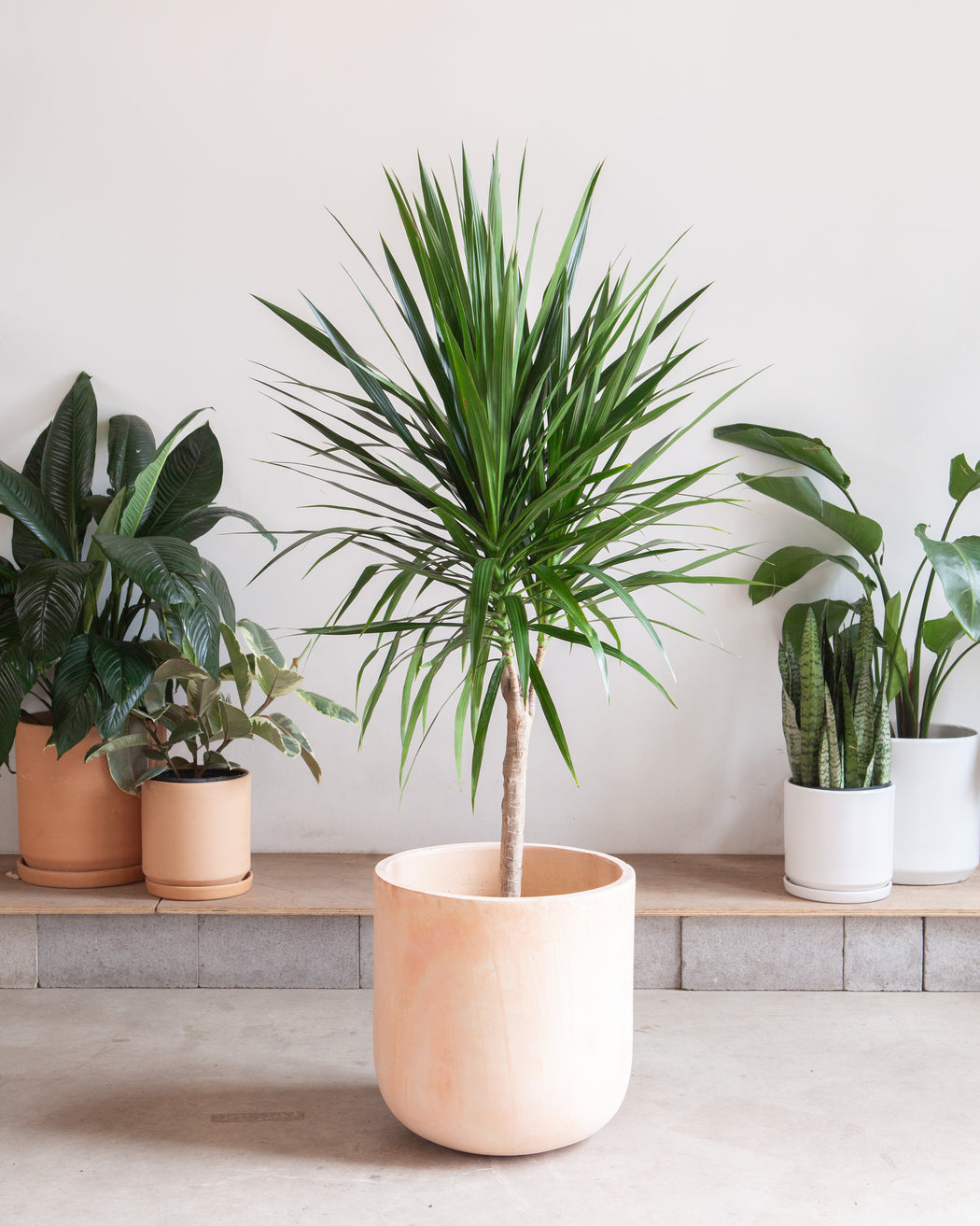LERATO POT Large 17 Inch