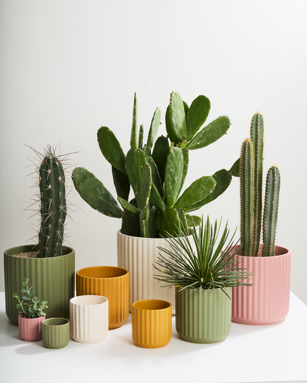 Ribbed Beam Planter | 10 inch Nursery Pot