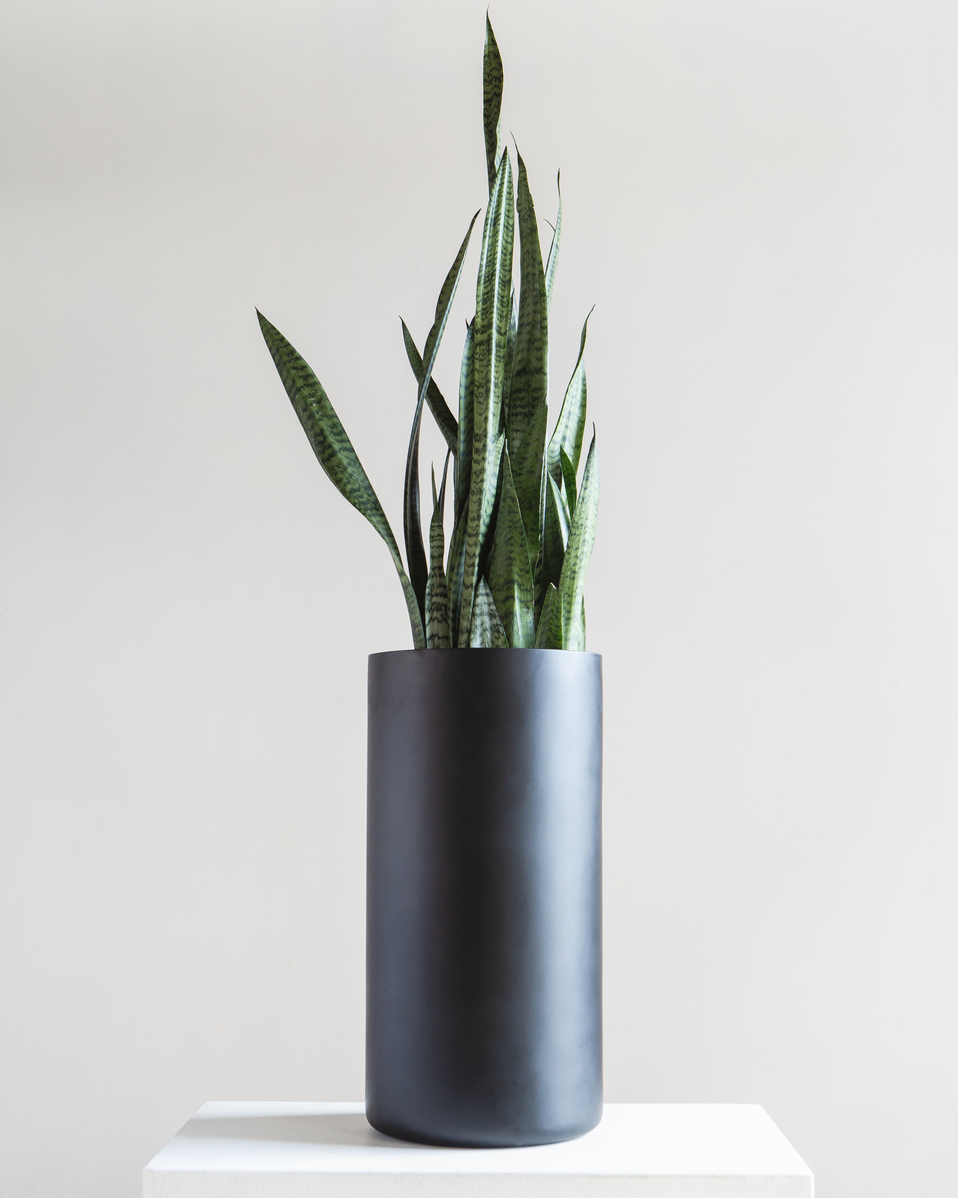 Cylindrico Tall Planter | 8-10 inch Nursery Pot