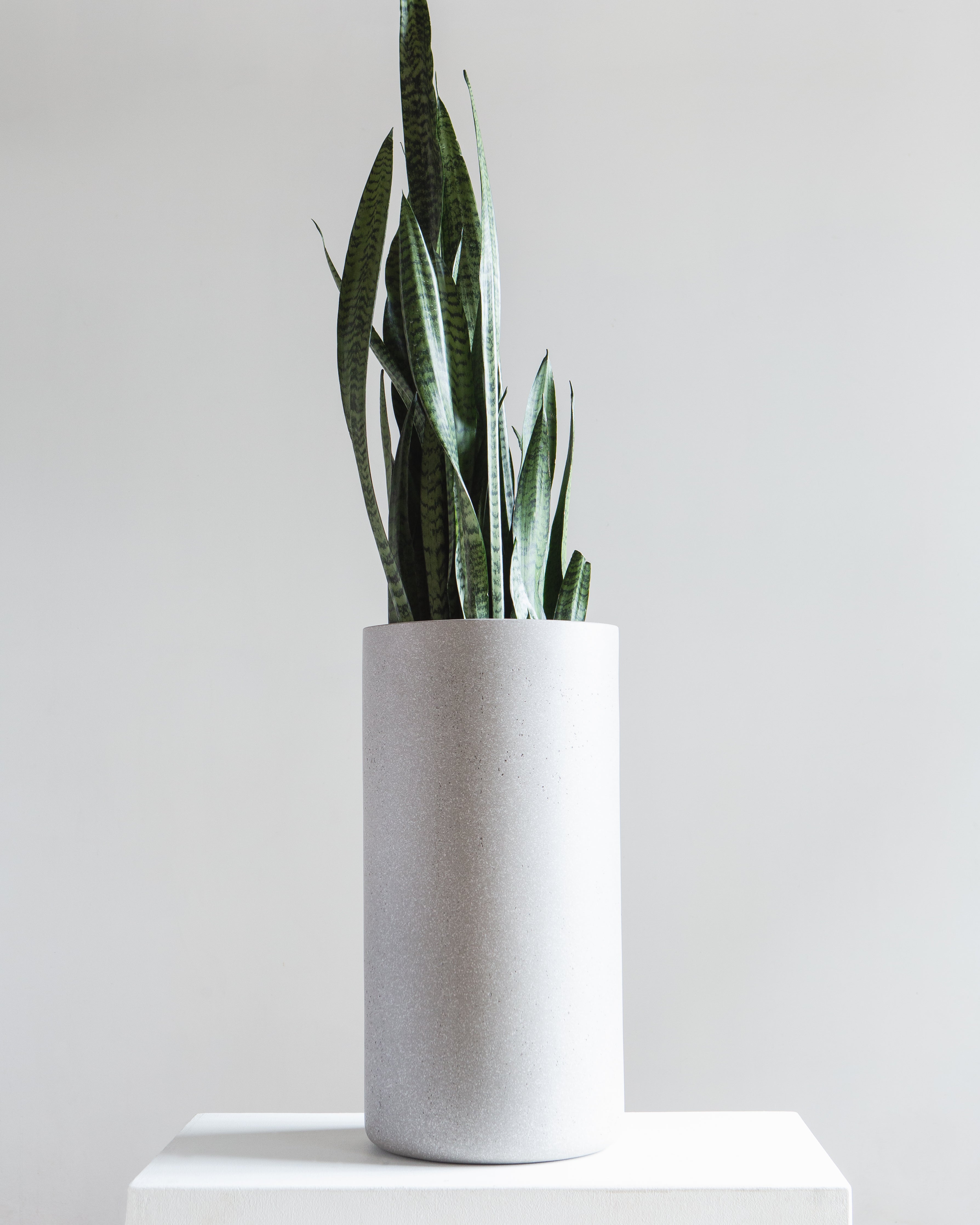 Cylindrico Tall Planter | 8-10 inch Nursery Pot