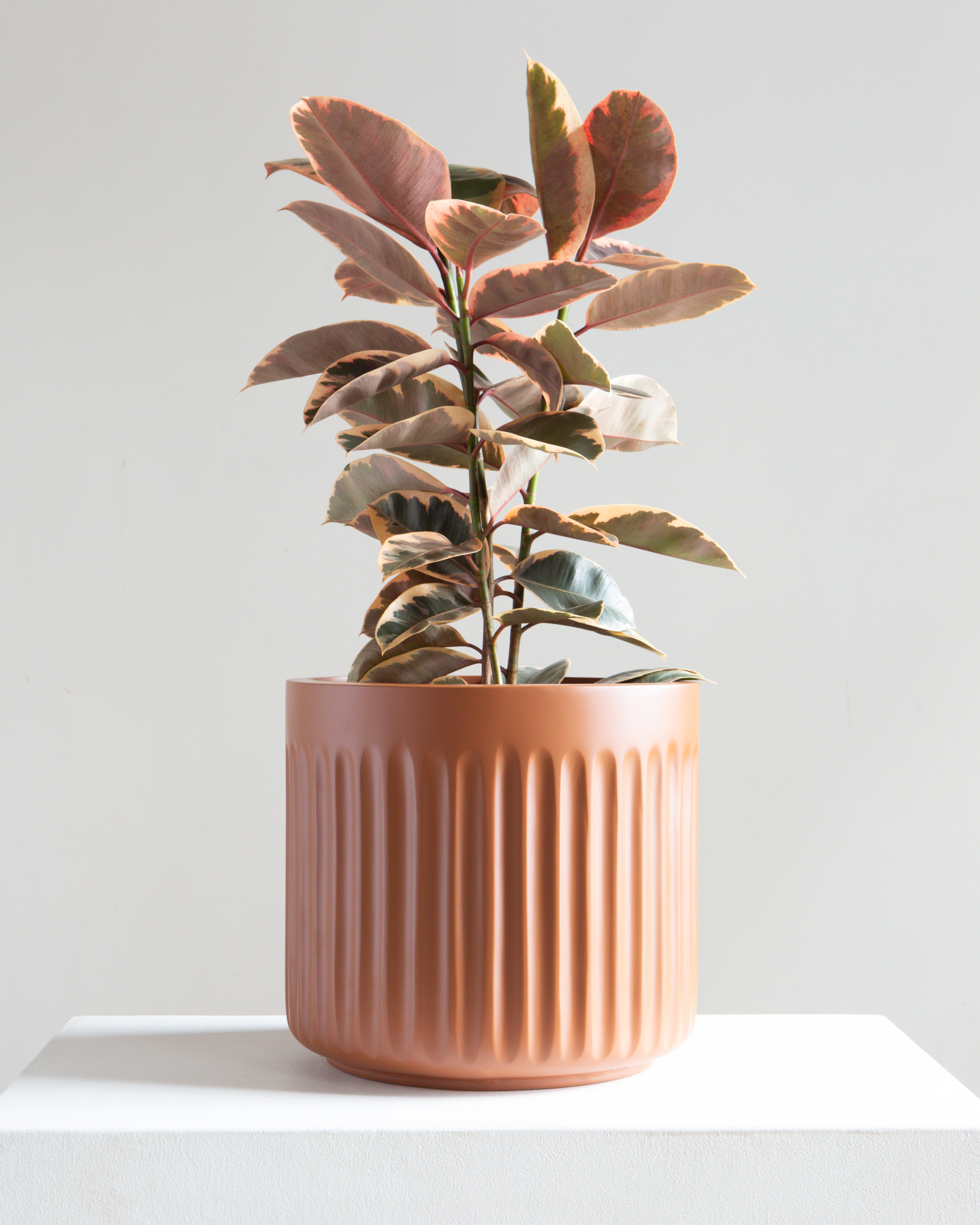 Doric Planter | 10-12 inch Nursery Pot
