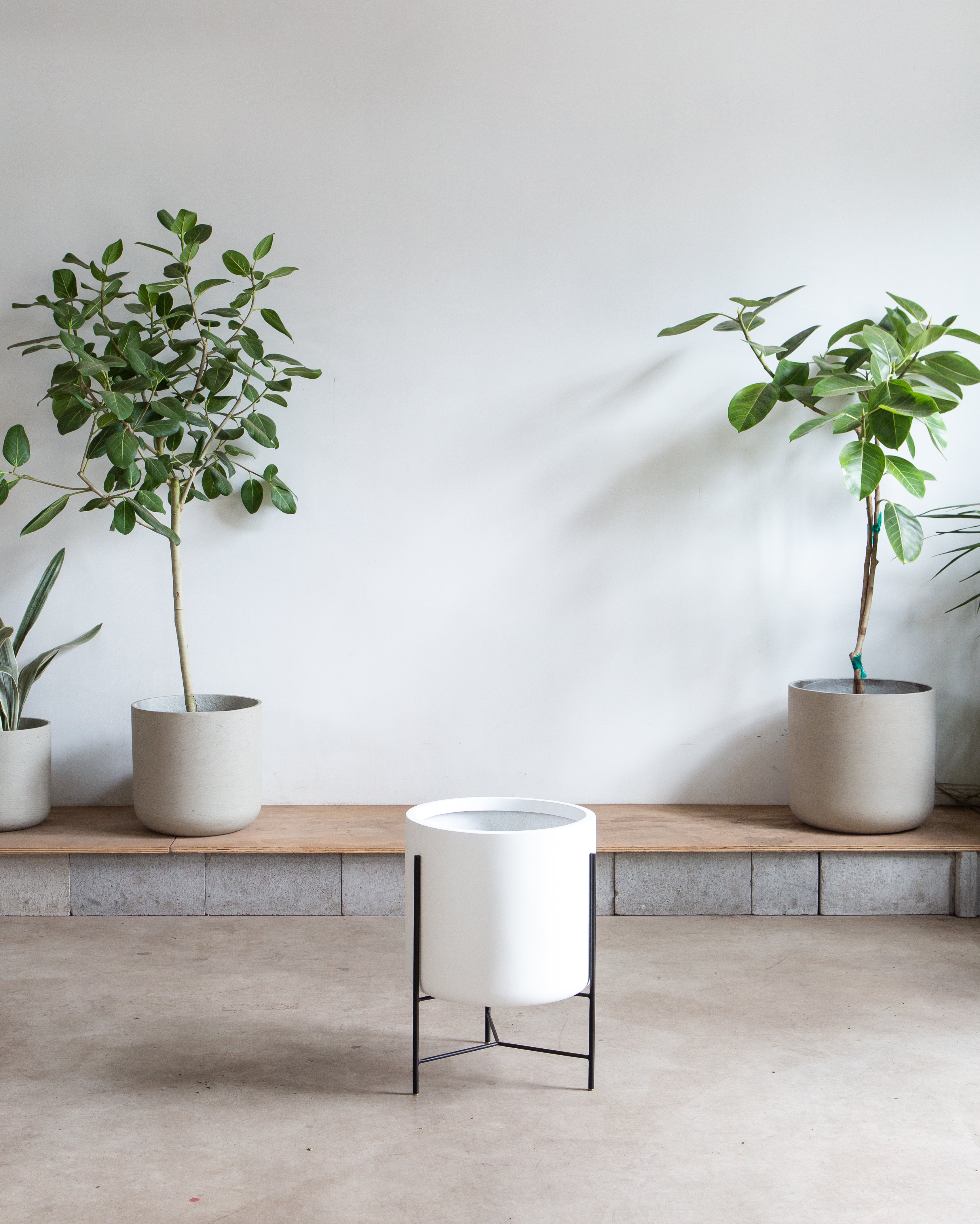 CYLINDRICO - WHITE PLANTER - LARGE 15.7-- FLOOR MODEL FINAL SALE