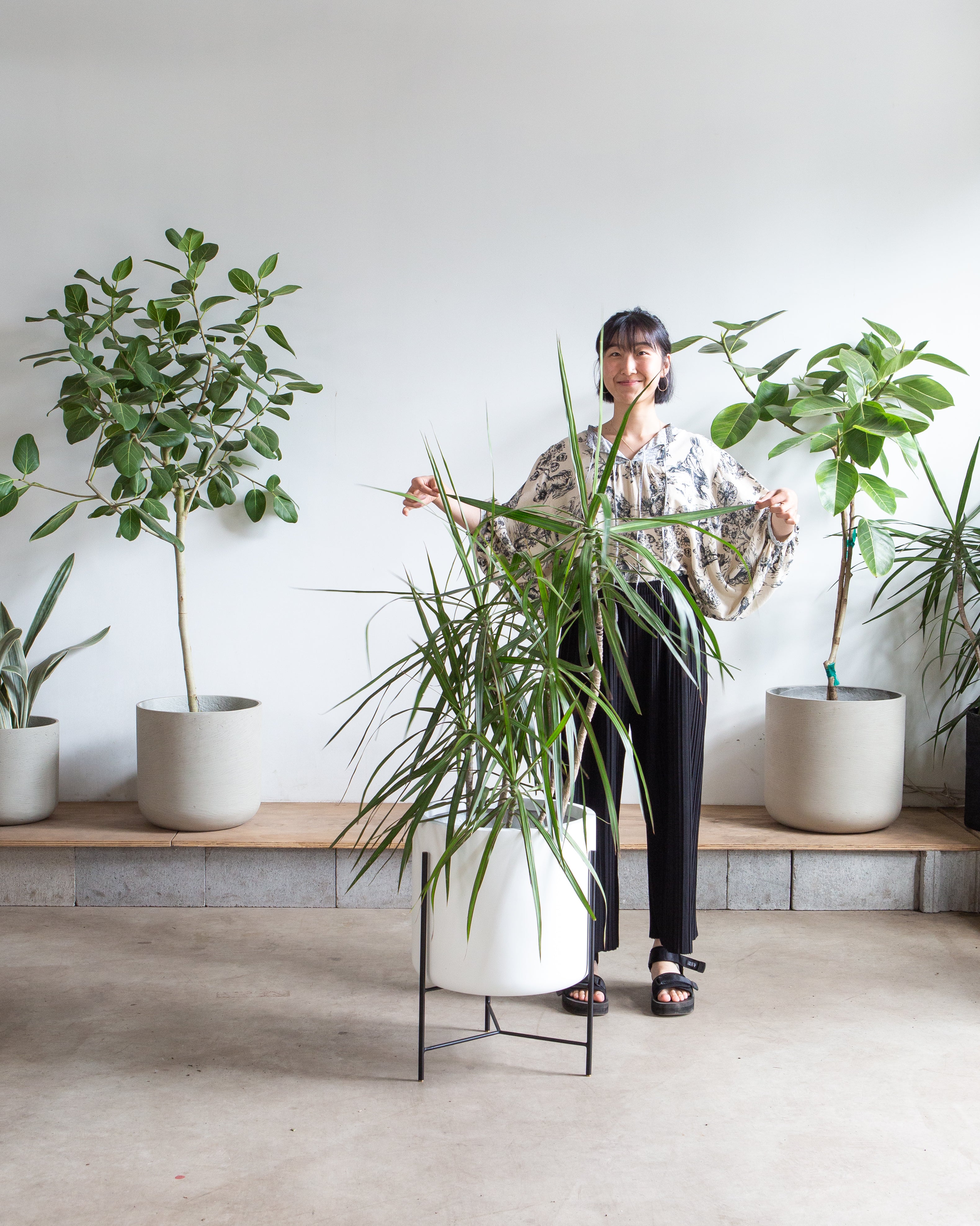 CYLINDRICO - WHITE PLANTER - LARGE 15.7-- FLOOR MODEL FINAL SALE
