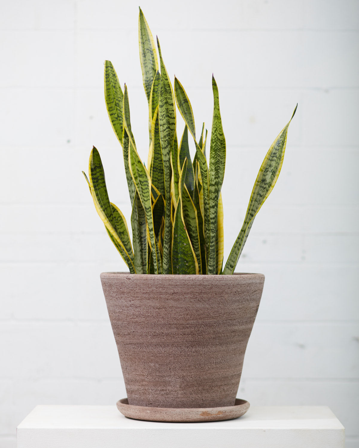 15 Inch BERGS POTTER 'JULIE' GREY