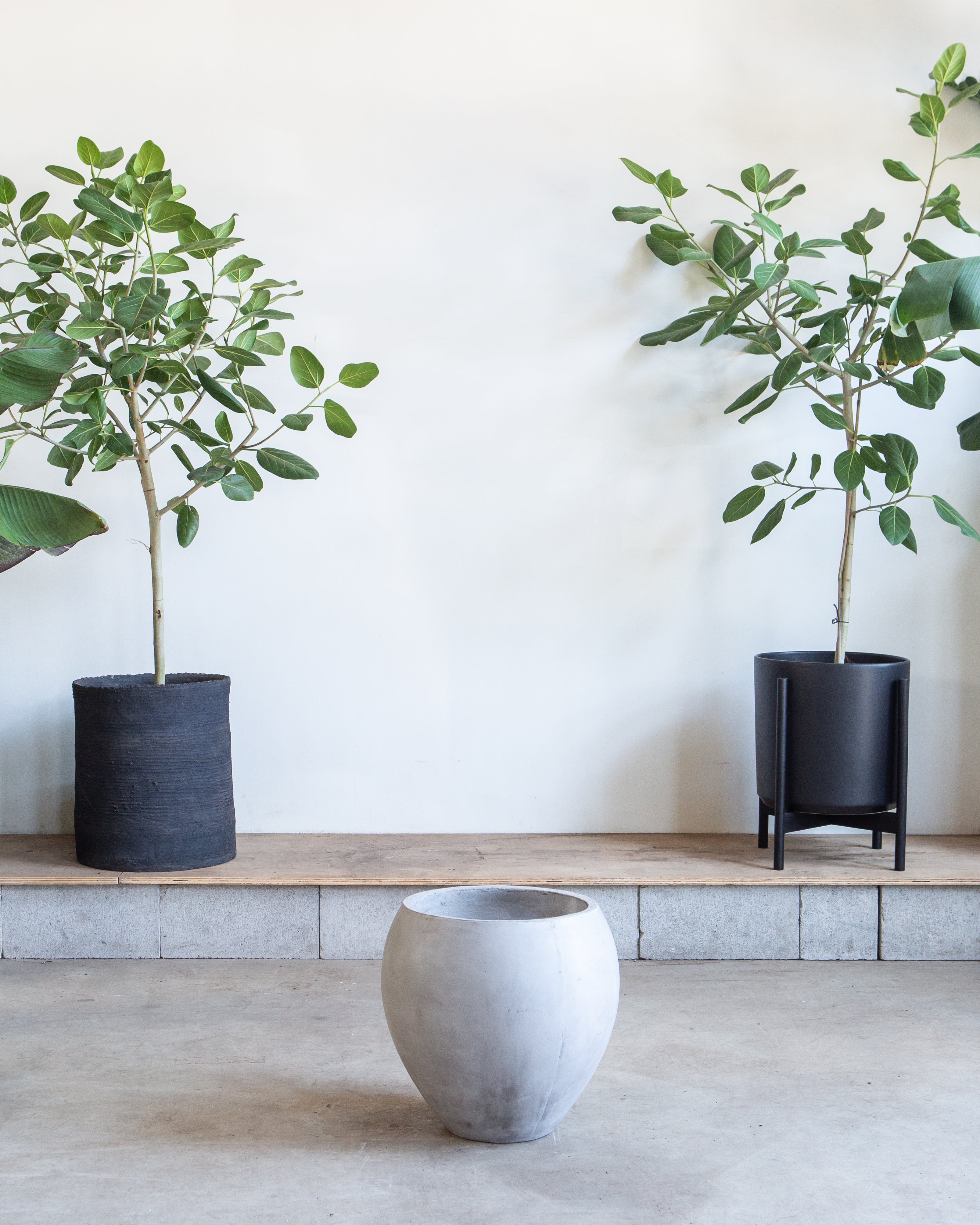 Newport Oversized Concrete Pot | 12 inch Nursery Pot