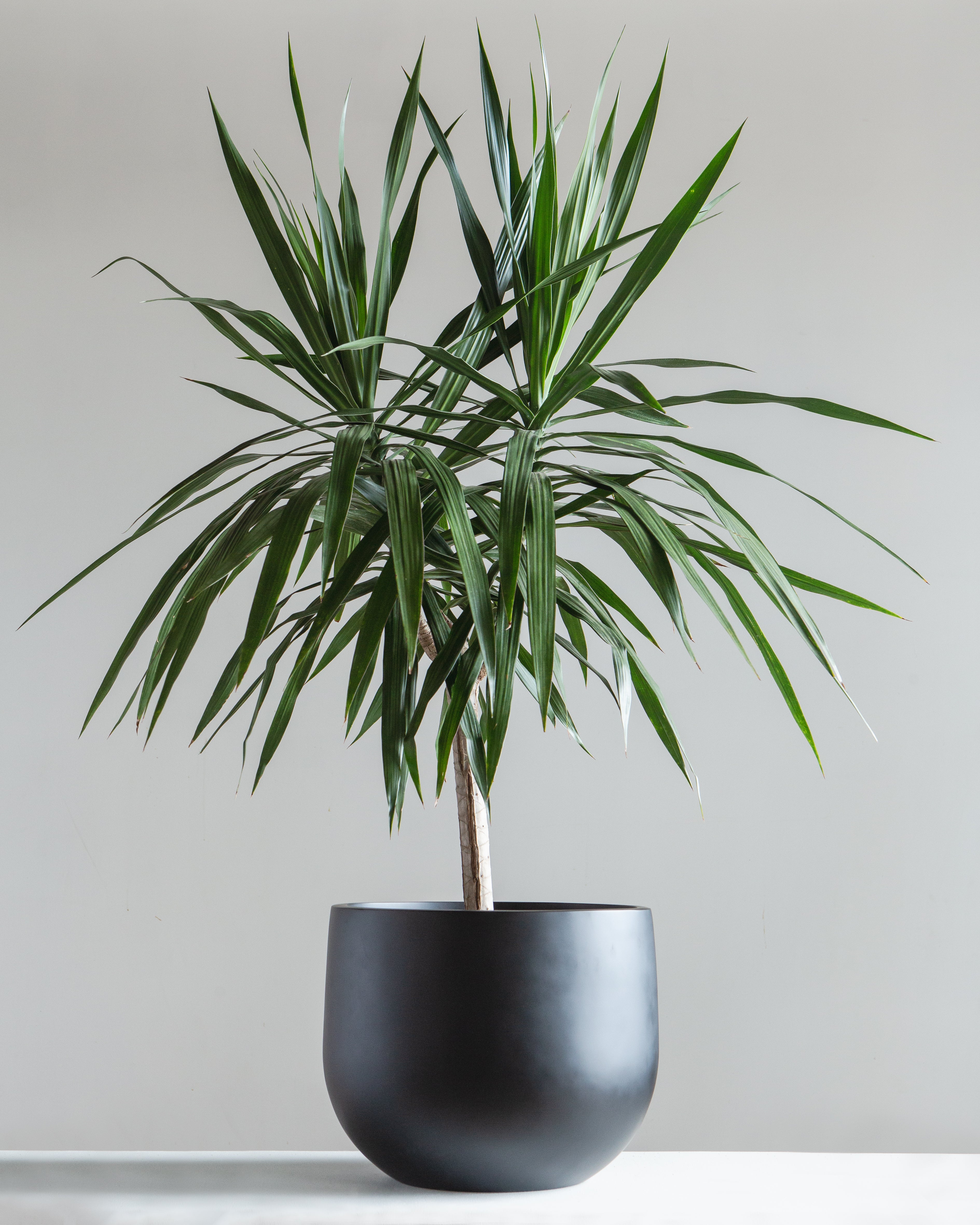 CRATERA - BLACK, Large 16.7 x 16.7 x 13 in