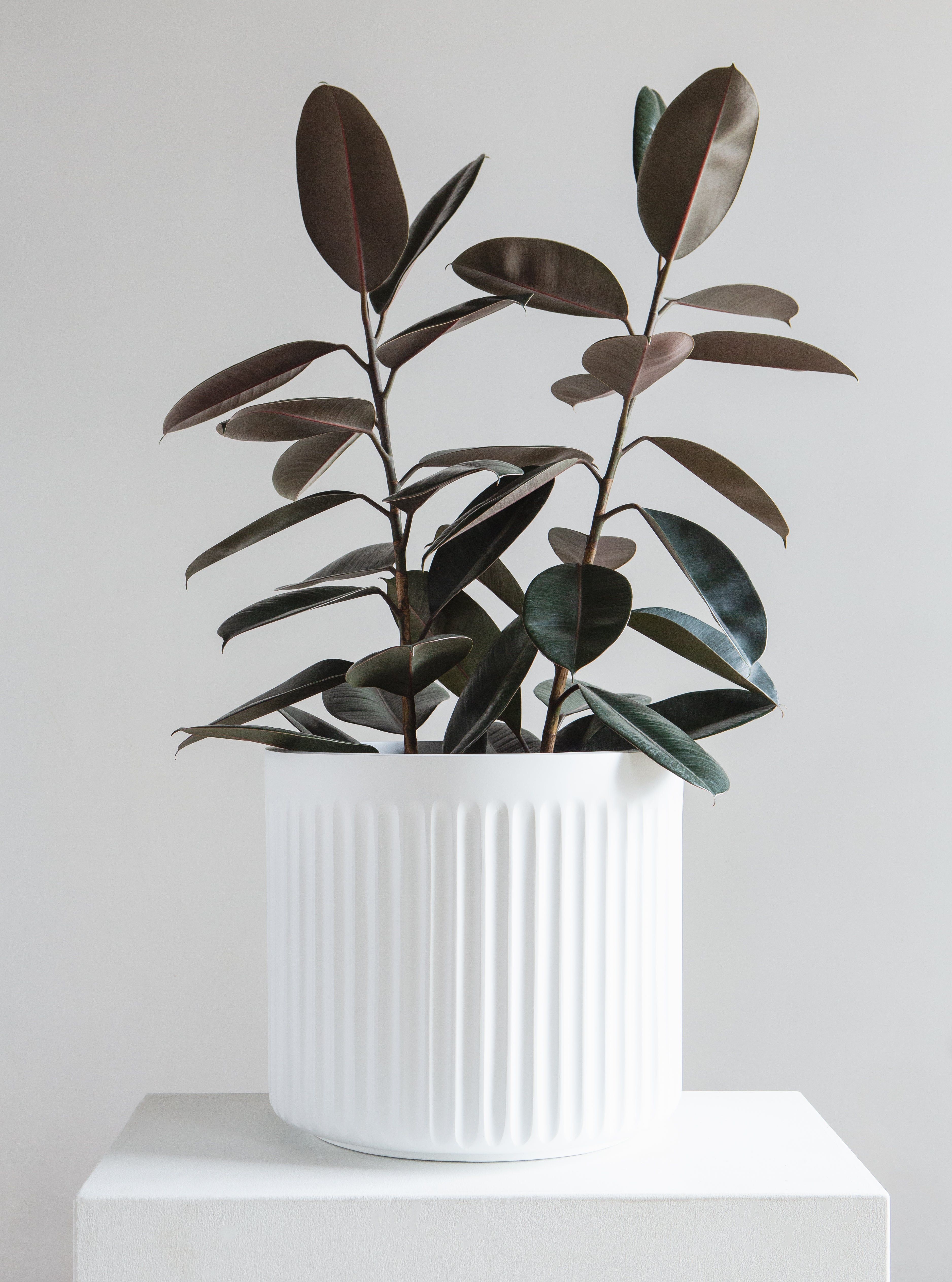 Doric White Planter | 14 inch Nursery Pot