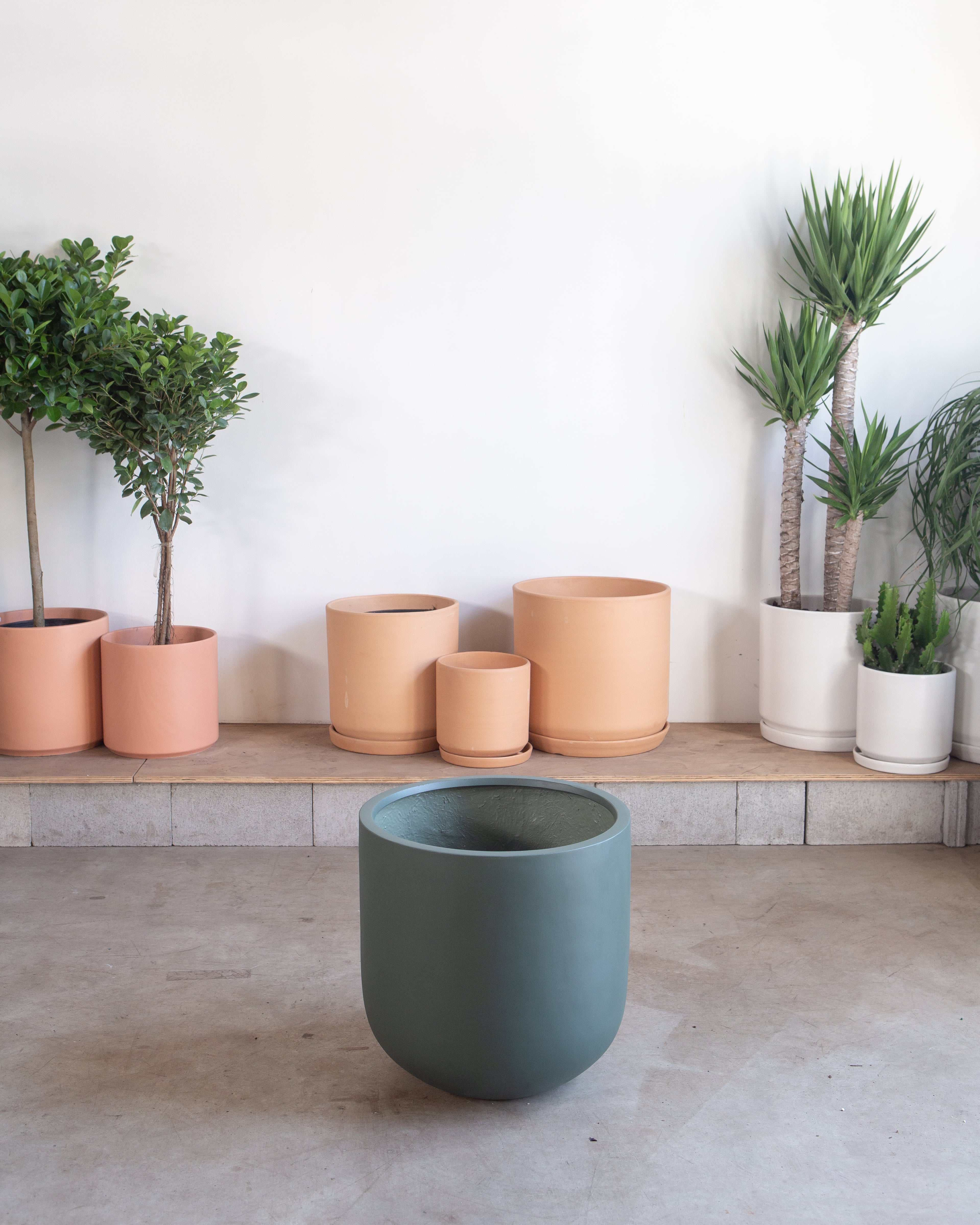 large pot for house plant COMMON HOUSE - SAGE PLANTER