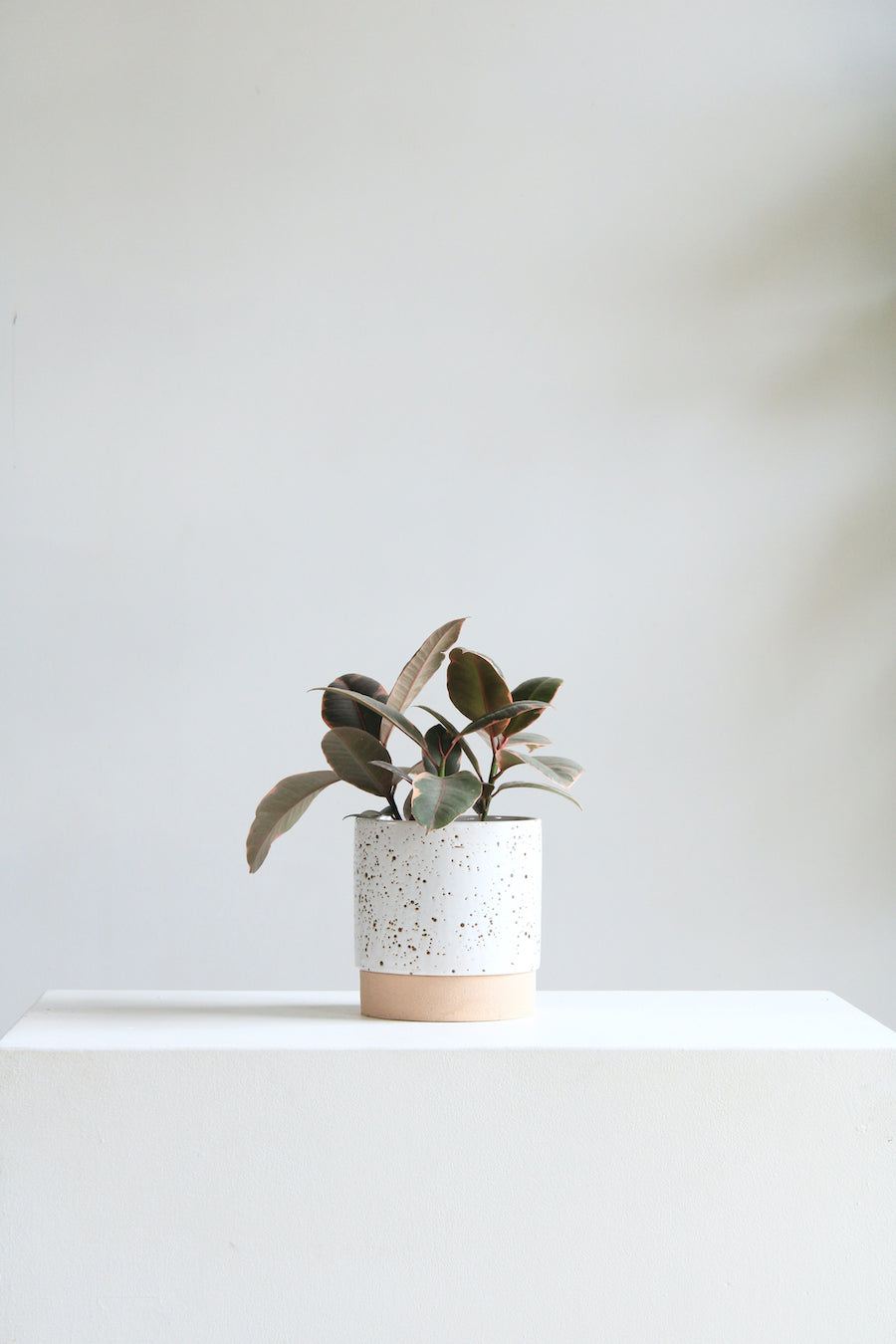 Briar Speckled Planter with Drainage and Tray | 6 Inch Diameter