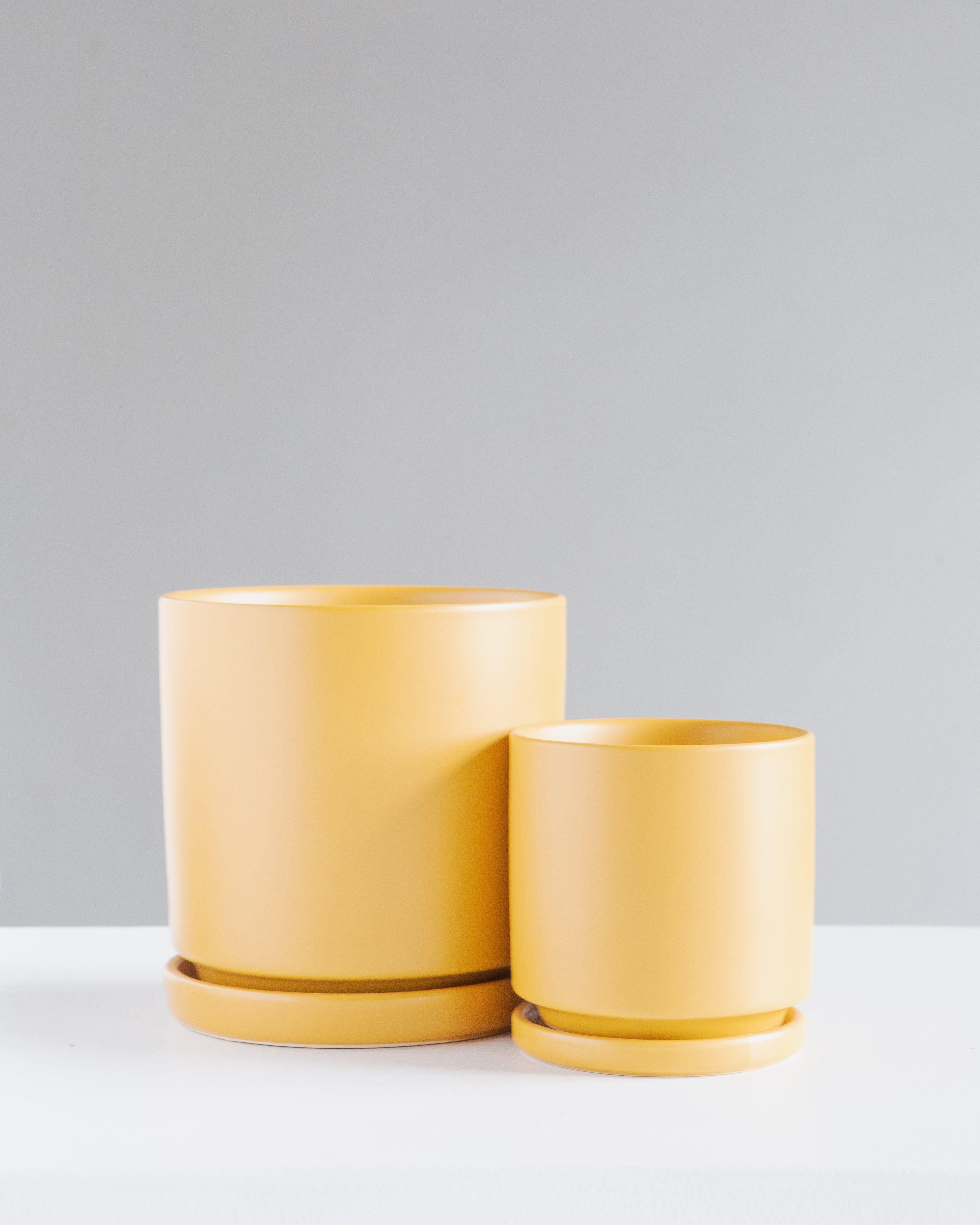 Small 6 Inch MOMMA POTS CYLINDER - MUSTARD