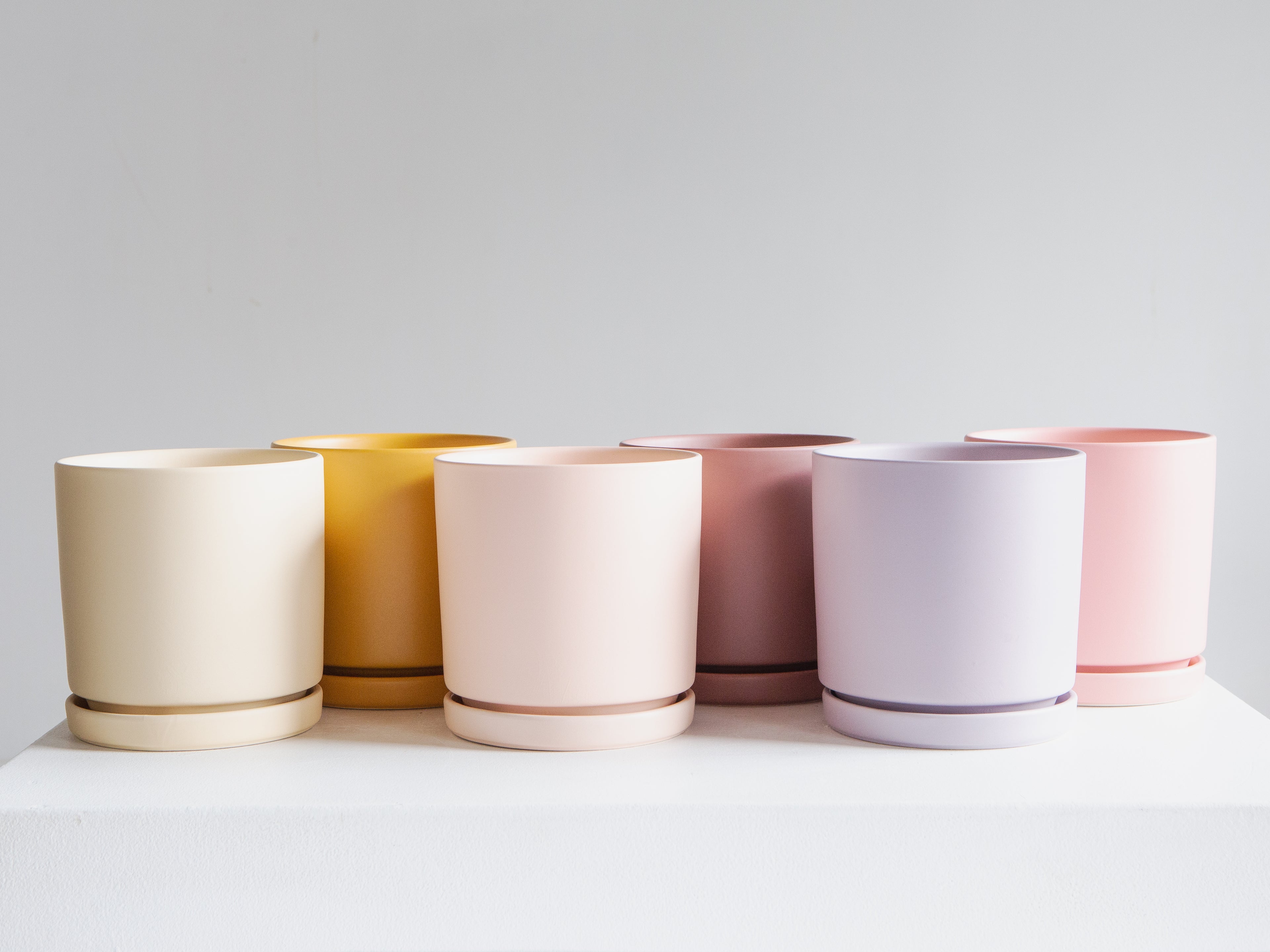 Small 6 Inch MOMMA POTS CYLINDER - MUSTARD