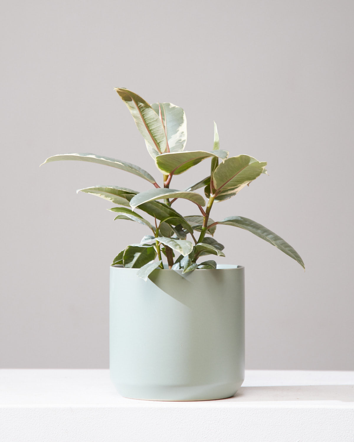 Kendall Ceramic Planter | 6 inch Nursery Pot
