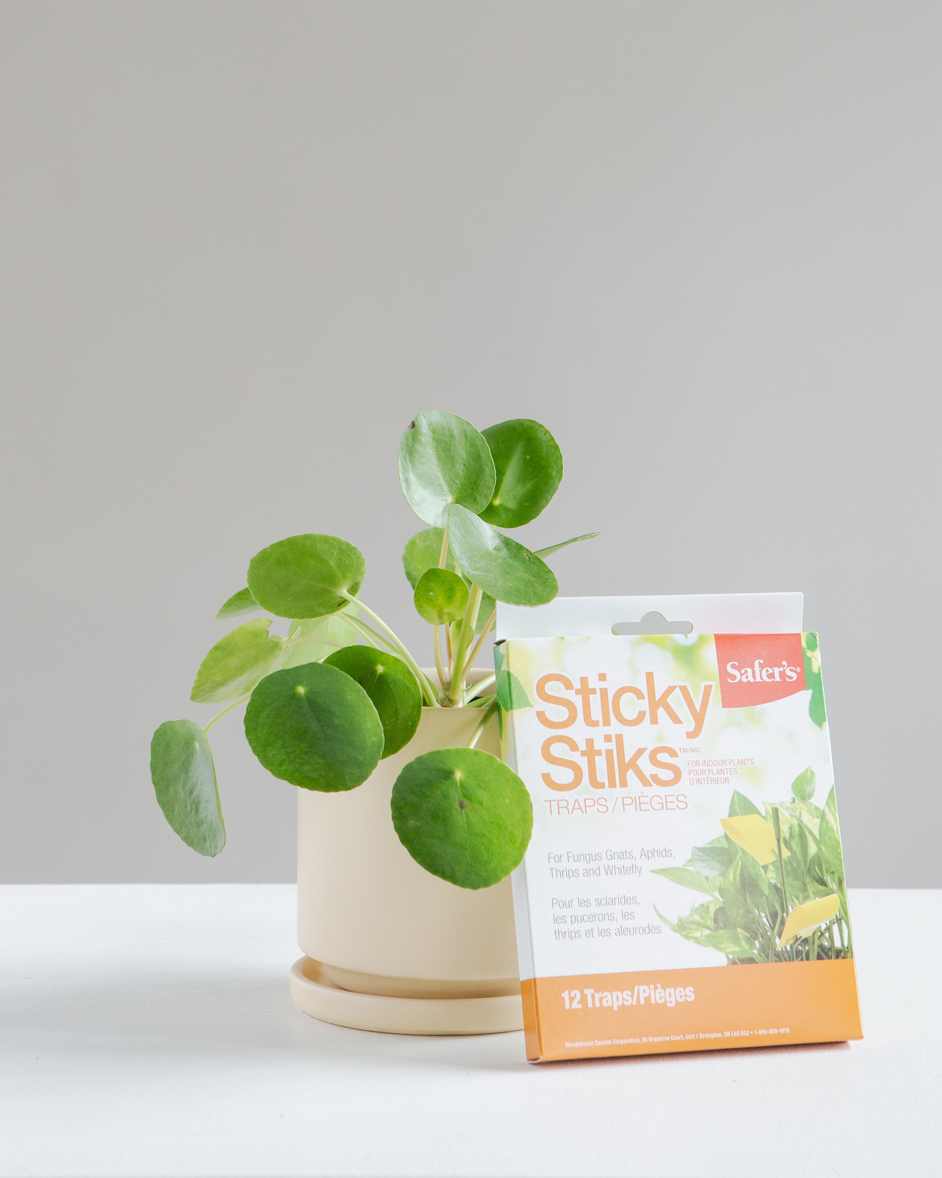Safer's Sticky Stiks Plant Stakes | 12 Traps/Pack
