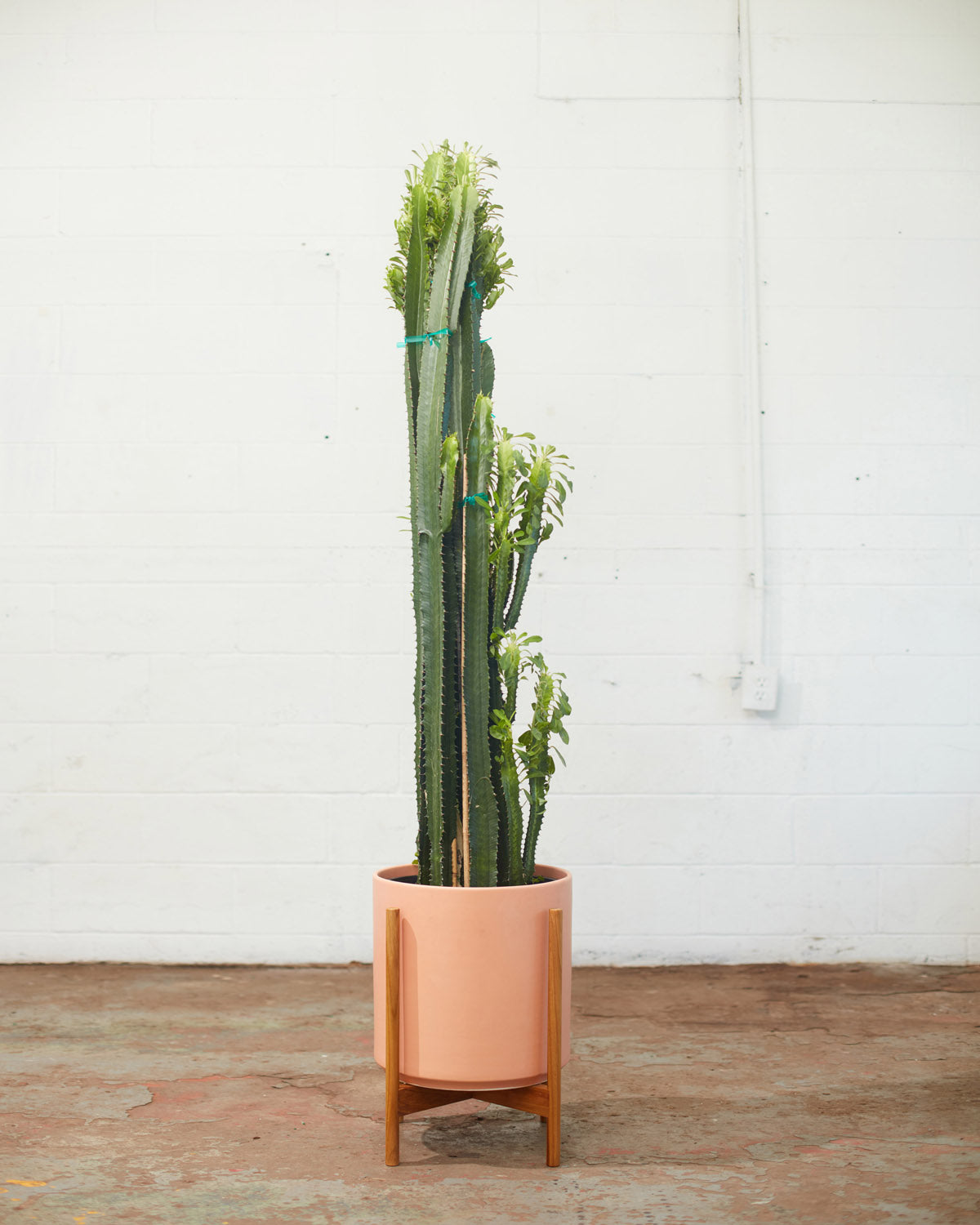 The Fourteen Peach Ceramic Cylinder Planter with Natural Teak Wooden Stand | 14 inch Nursery Pot