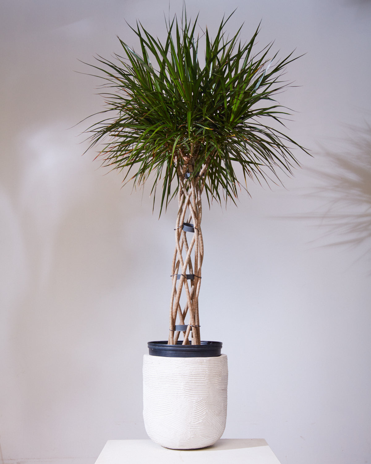 Greta White Textured Planter with Drainage | 15 inch Diameter