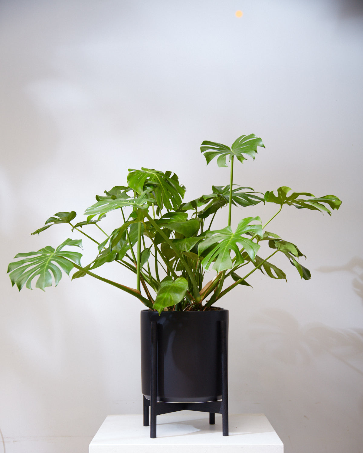14 Inch REVIVAL CERAMICS BLACK CYLINDER WITH BLACK STAND - Large