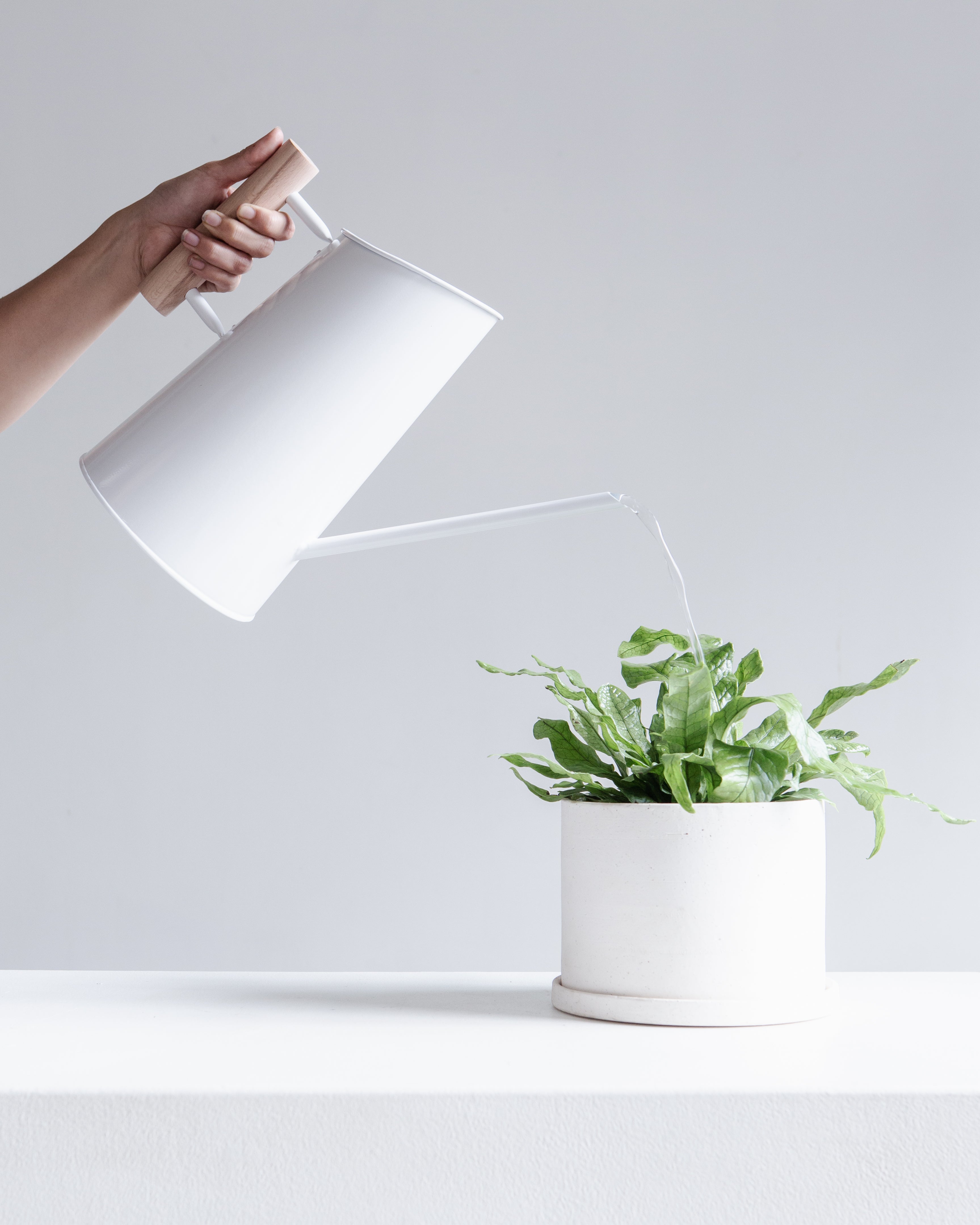 Preston White Tall Watering Can