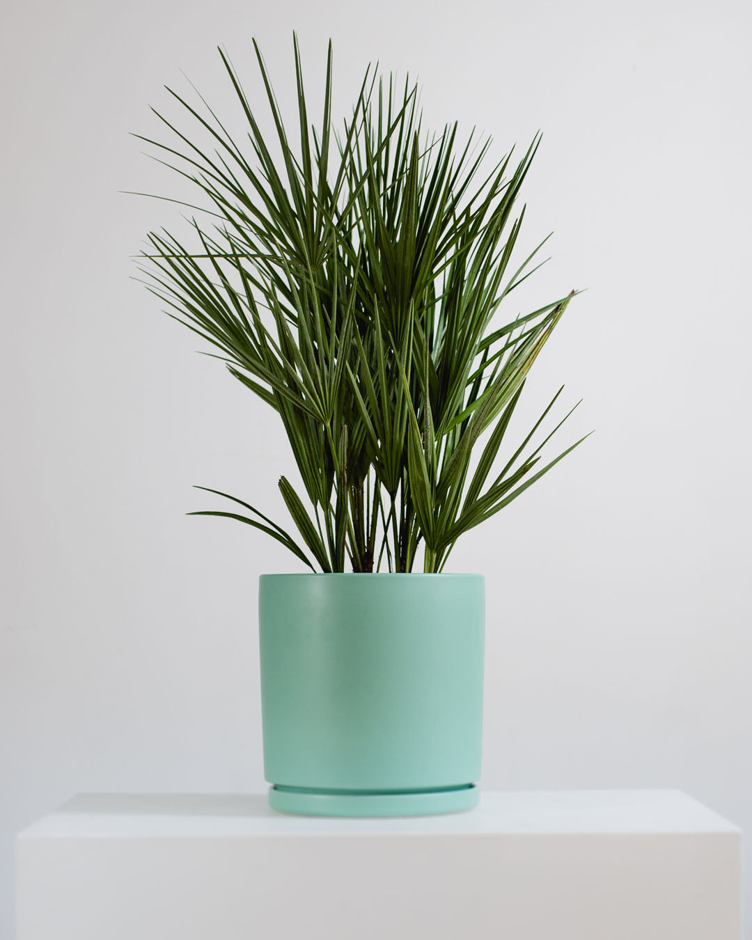 Medium 10 Inch MOMMA POTS CYLINDER - SEA GLASS