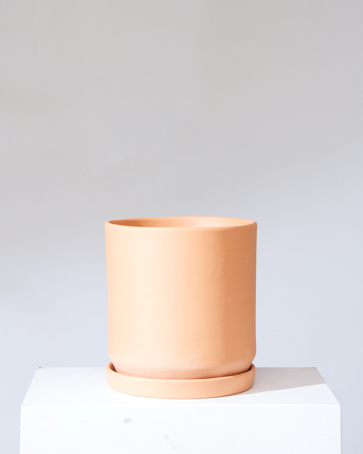 LARGE 14"+ PLANTERS
