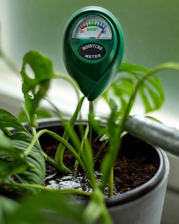 Moisture Meter