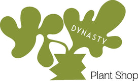 Dynasty Plants