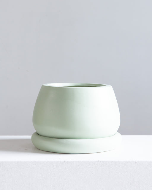 VIRIDI GELATO PLANTER Medium 8 Inch - Honeydew
