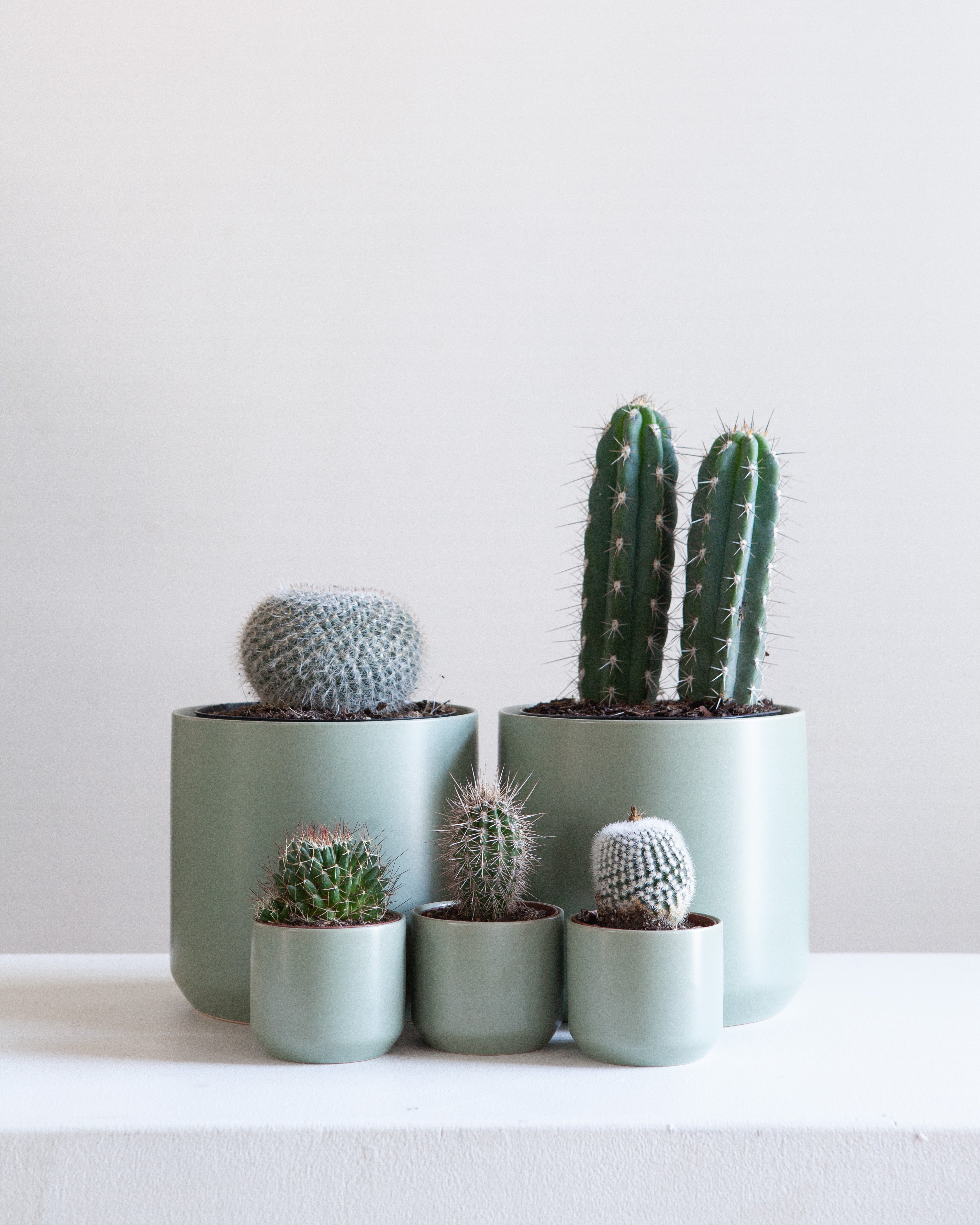KENDALL GREEN PLANTER Small 3.25 Inch