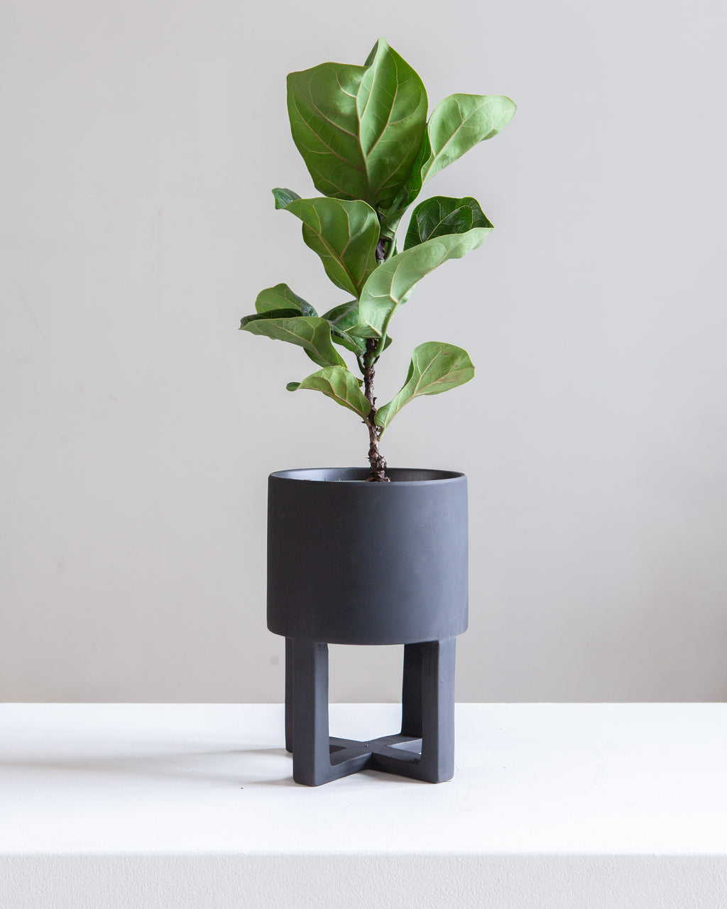 Santurce Footed Planter | 6 inch Nursery Pot