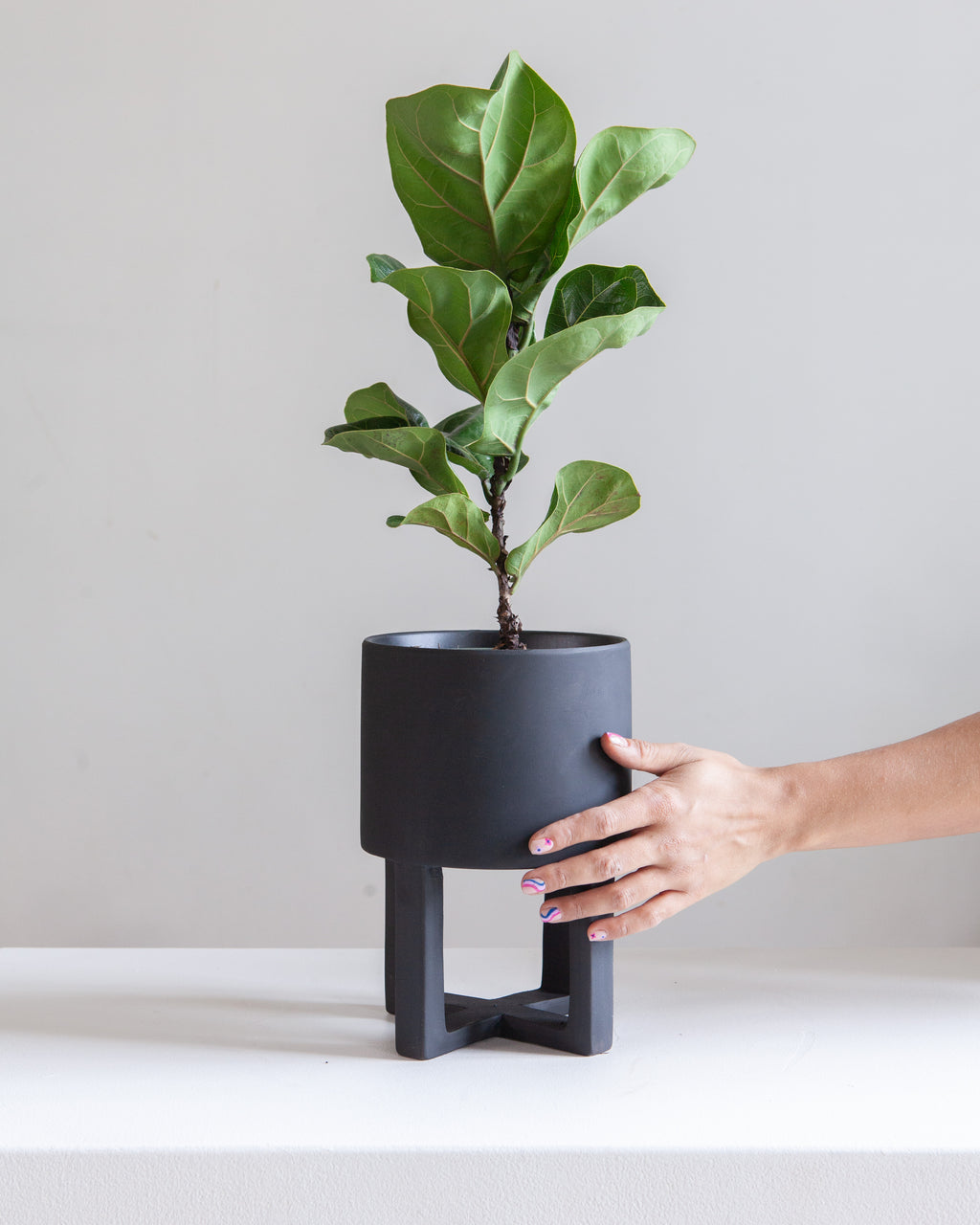 Santurce Footed Planter | 6 inch Nursery Pot