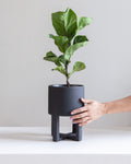 Santurce Footed Planter | 6 inch Nursery Pot