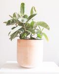 Lerato Planter with Drainage | 13 inch Diameter