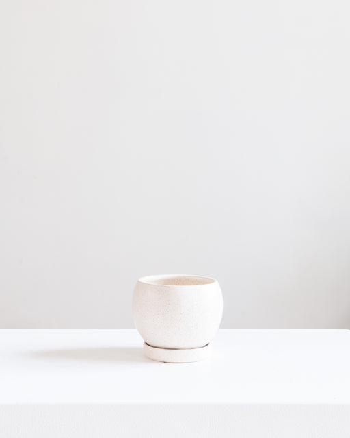 6 Inch MOMMA POTS BOLLÉ - WHITE SESAME
