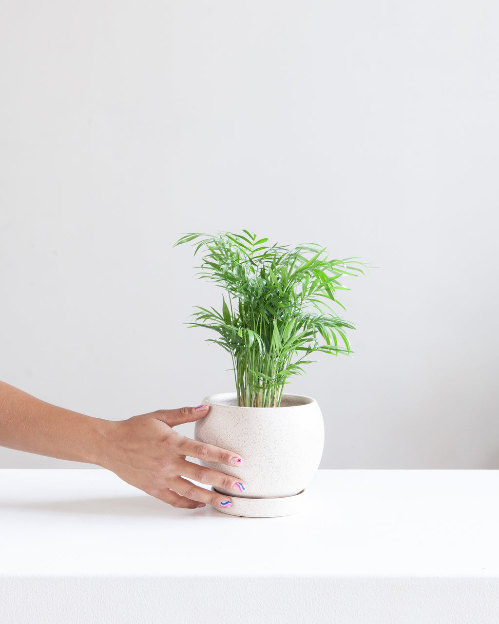 6 Inch MOMMA POTS BOLLÉ - WHITE SESAME