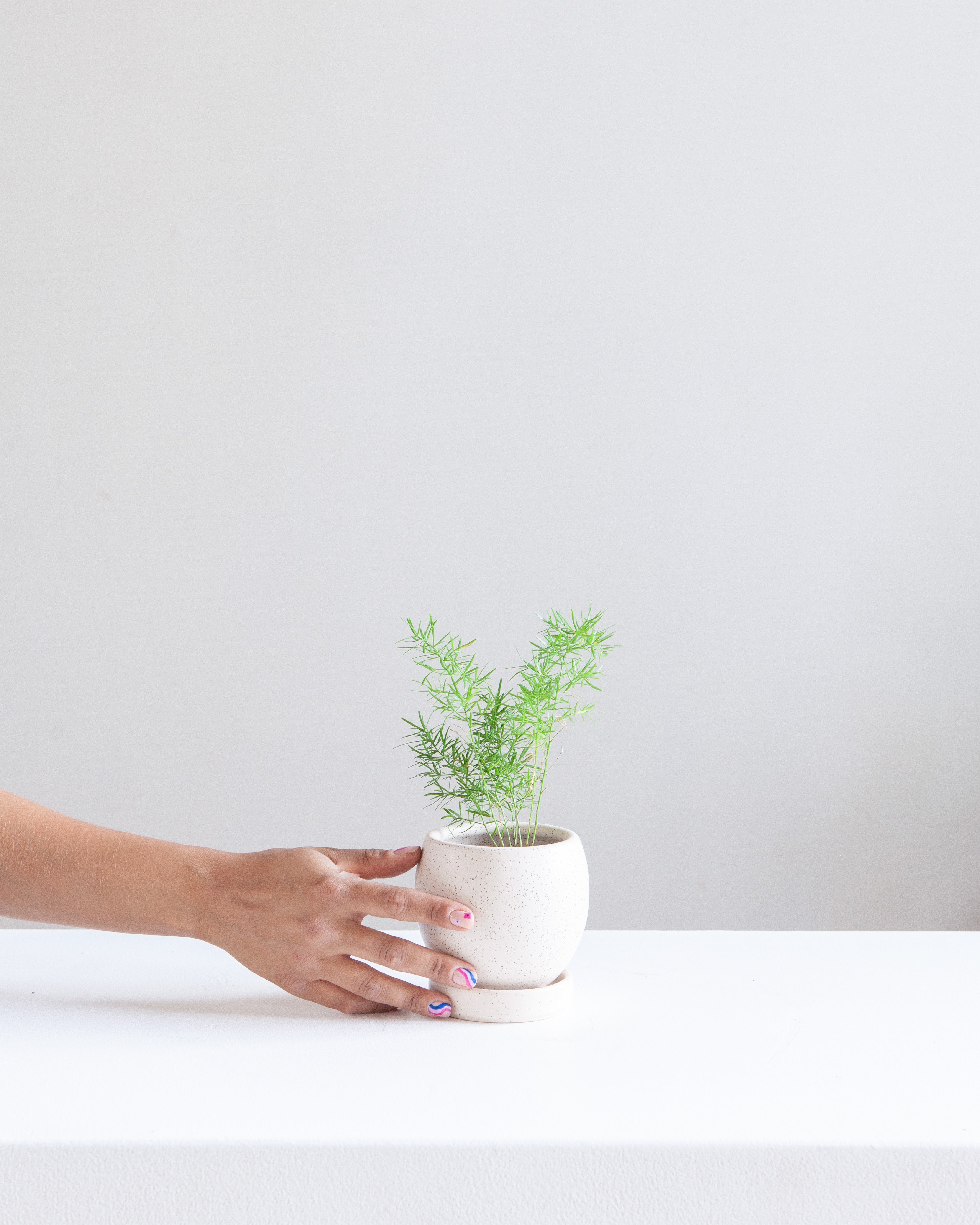 Small 4 Inch MOMMA POTS BOLLÉ - WHITE SESAME