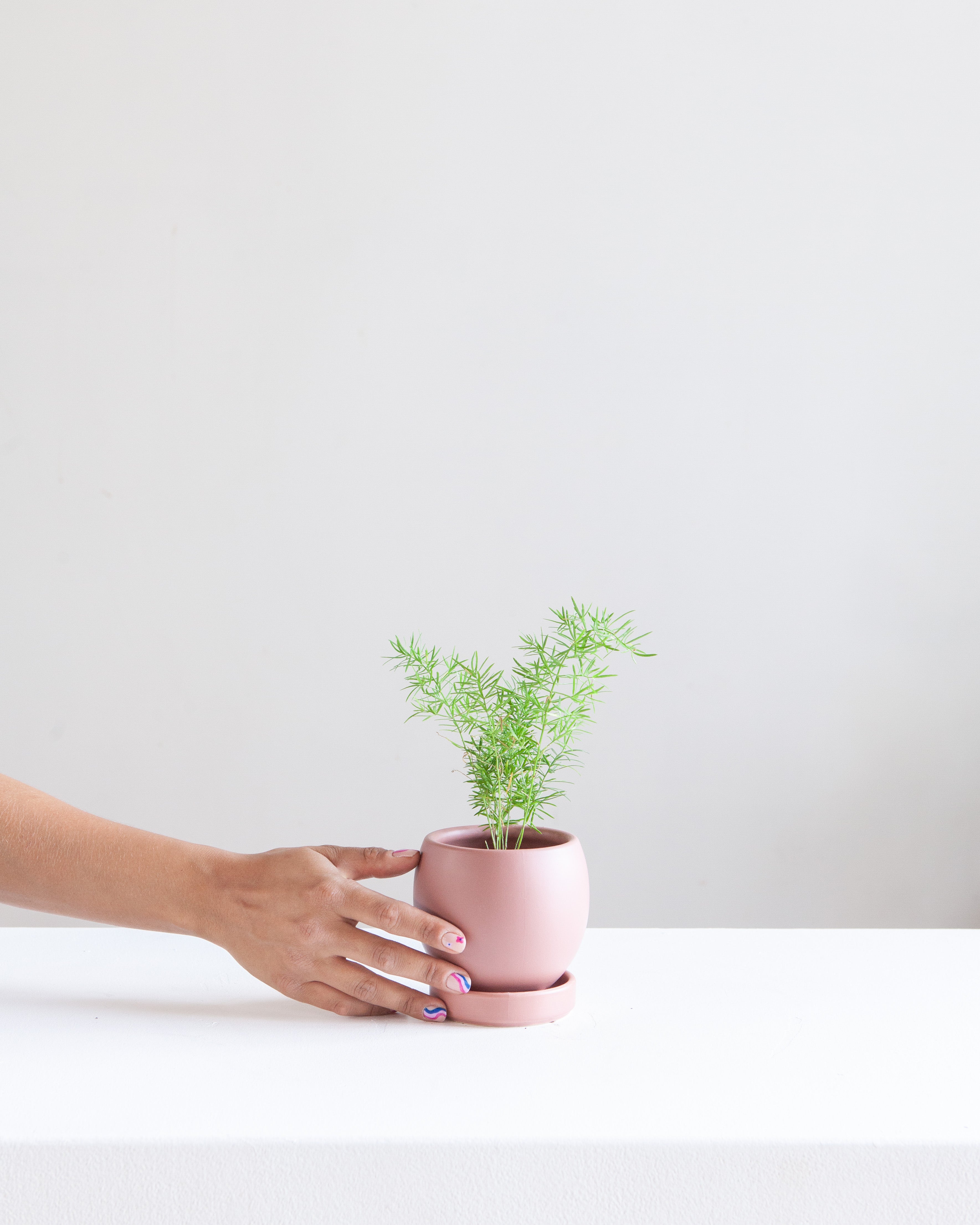 Small 4 Inch MOMMA POTS BOLLÉ - DUSTY ROSE