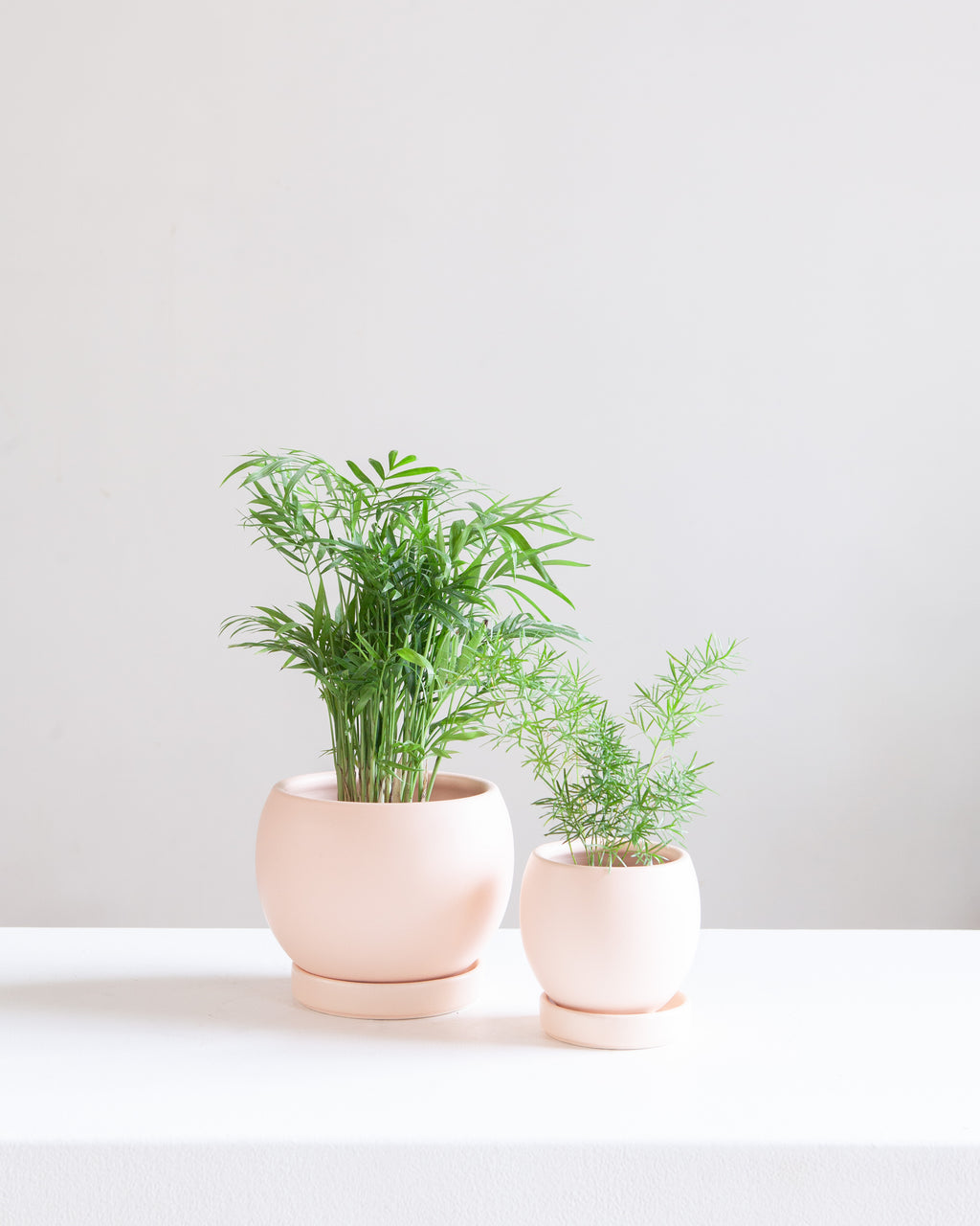 Small 4 Inch MOMMA POTS BOLLÉ - BLUSH