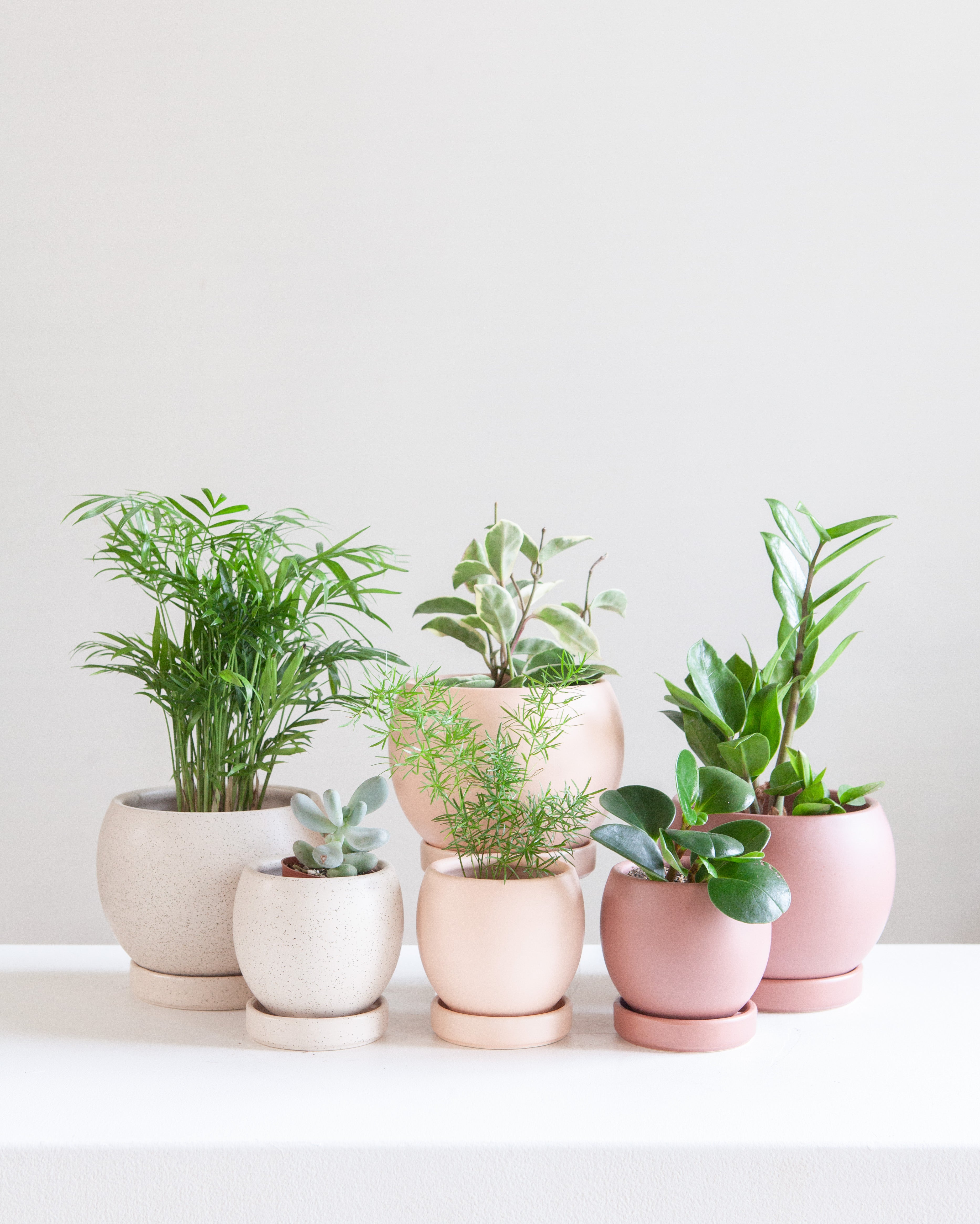 pink plant pot indoor Small 4 Inch MOMMA POTS BOLLÉ