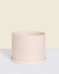 Small Pot with Saucer | 5 inch Diameter