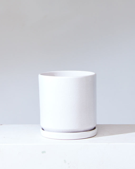 CALIFORNIA PLANTER COLLECTION: MATTE WHITE TWO PIECE CERAMIC Small 6 Inch