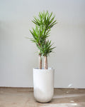 Seaport Planter | 14 inch Nursery Pot