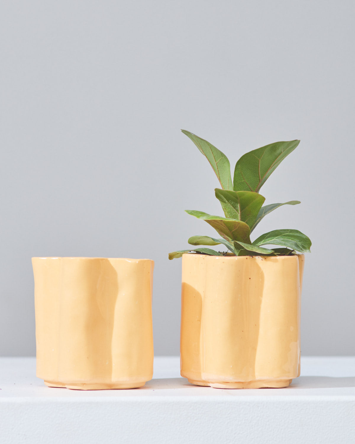 *PRE-ORDER* HIGH NOON ARTIST EDITION PLANTER - TANGERINE, Small 5 Inch