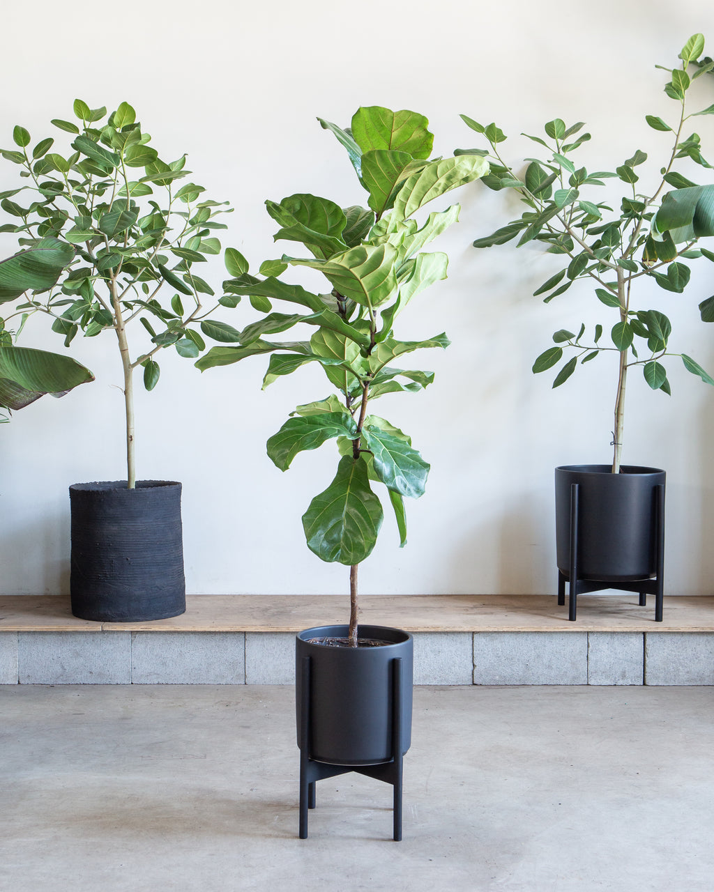 10 Inch REVIVAL CERAMICS BLACK CYLINDER WITH BLACK STAND - Medium