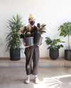 RUBBER PLANT 'FICUS ELASTICA BURGUNDY' 10" Grower Pot
