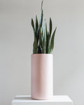 Cylindrico Tall Planter | 8-10 inch Nursery Pot