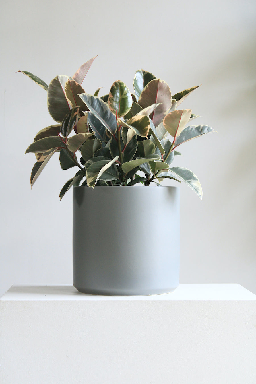 12 Inch REVIVAL CERAMICS - GREY - Medium