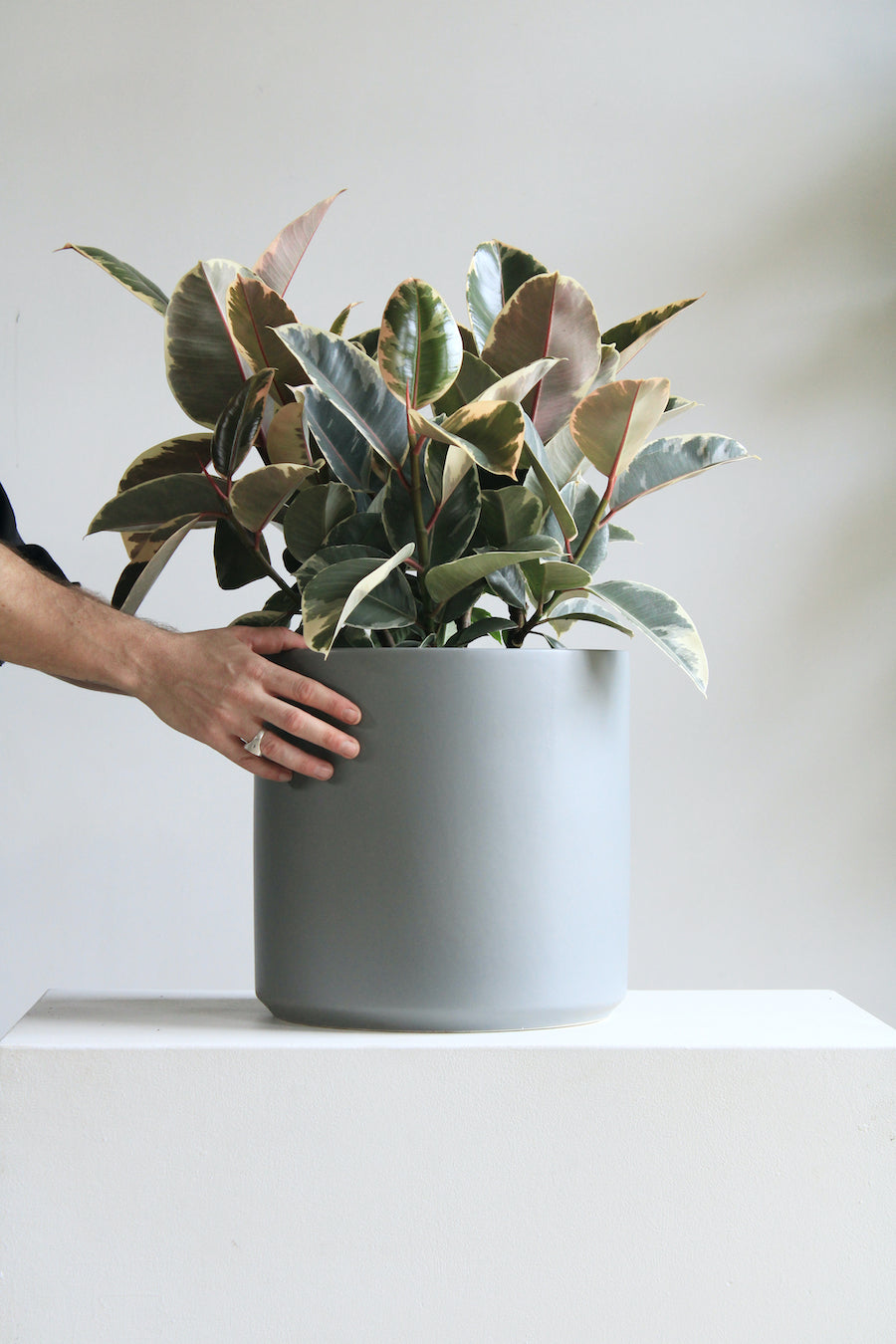 12 Inch REVIVAL CERAMICS - GREY - Medium